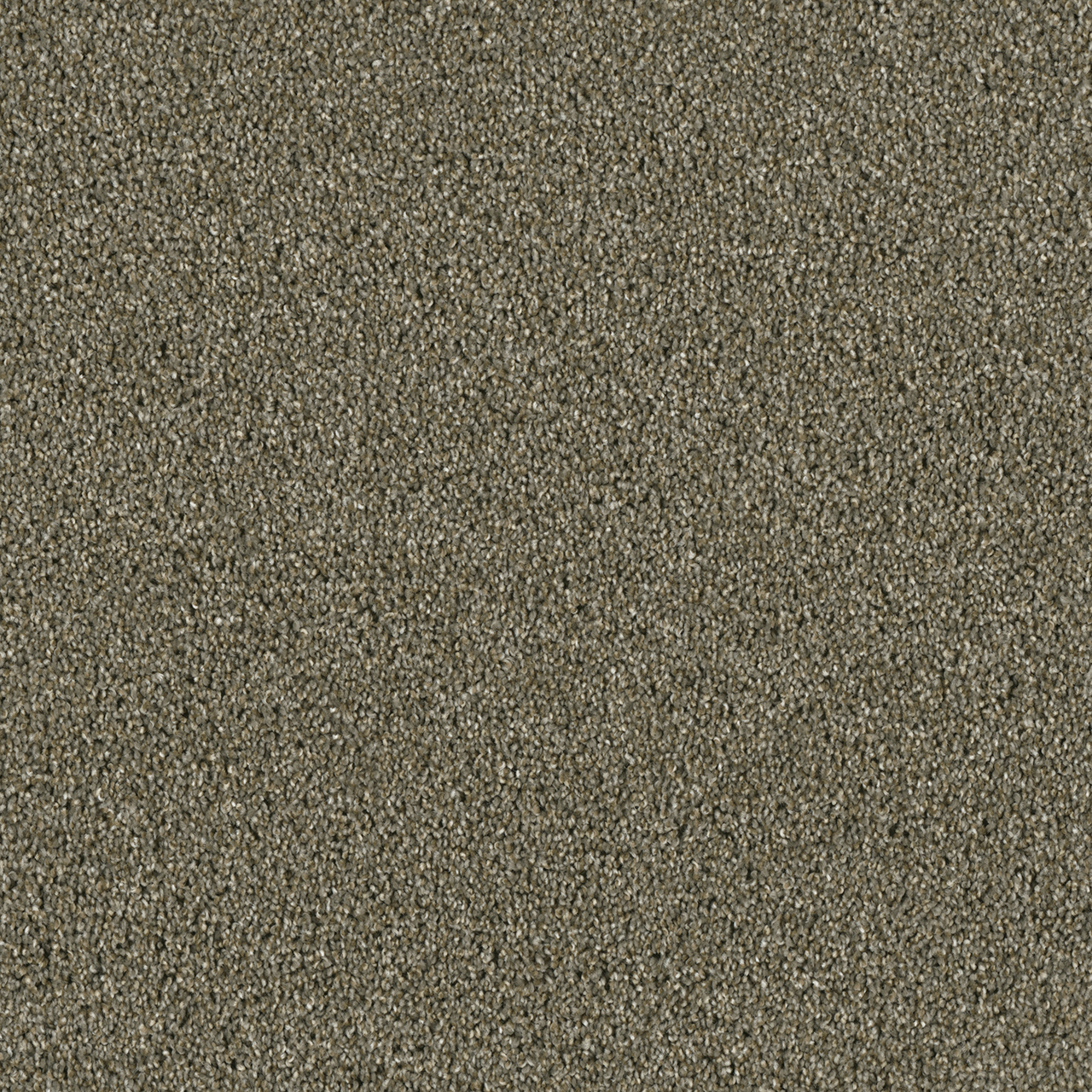 Cinnamon Tea Acclaim swatch
