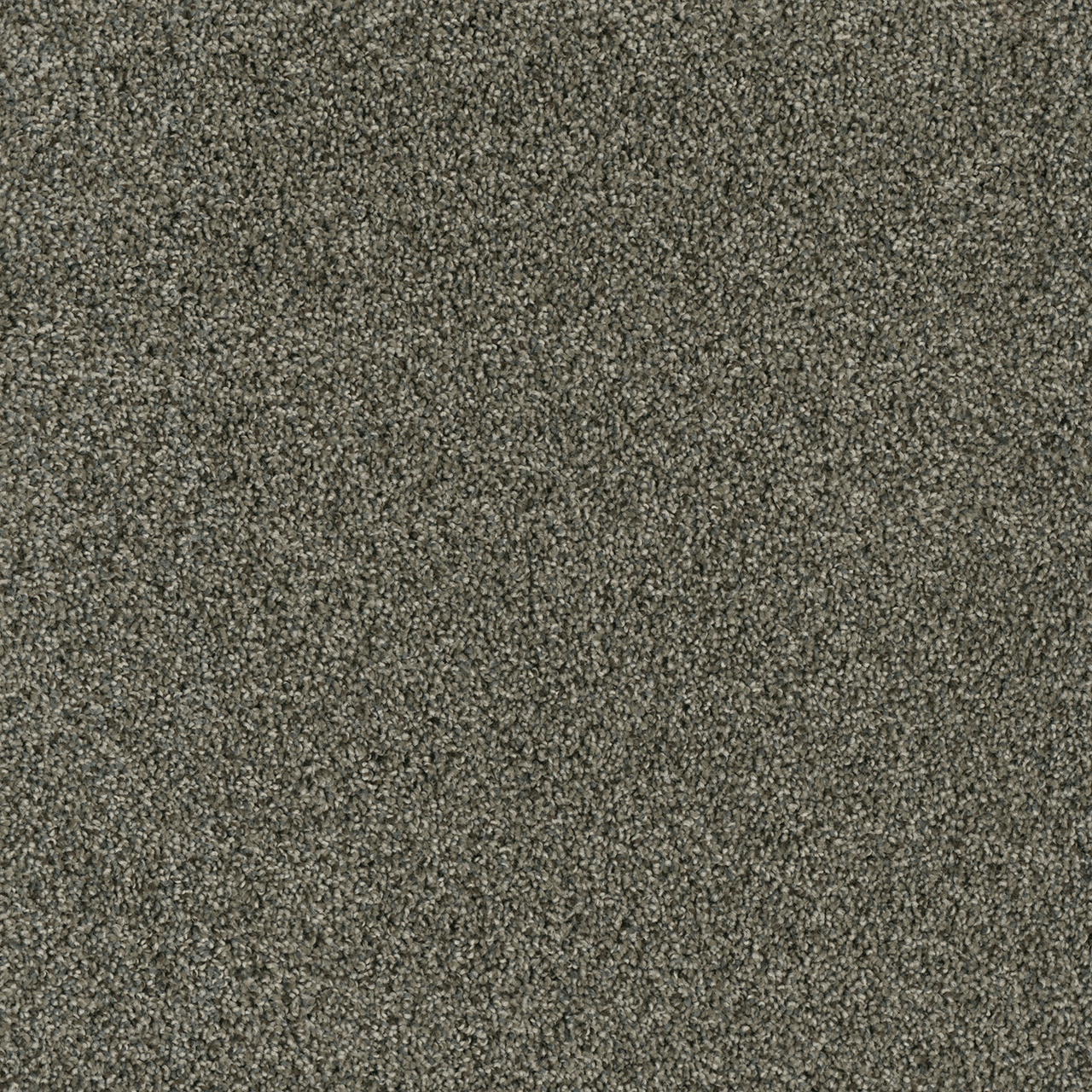 Midnight Shadow Acclaim swatch