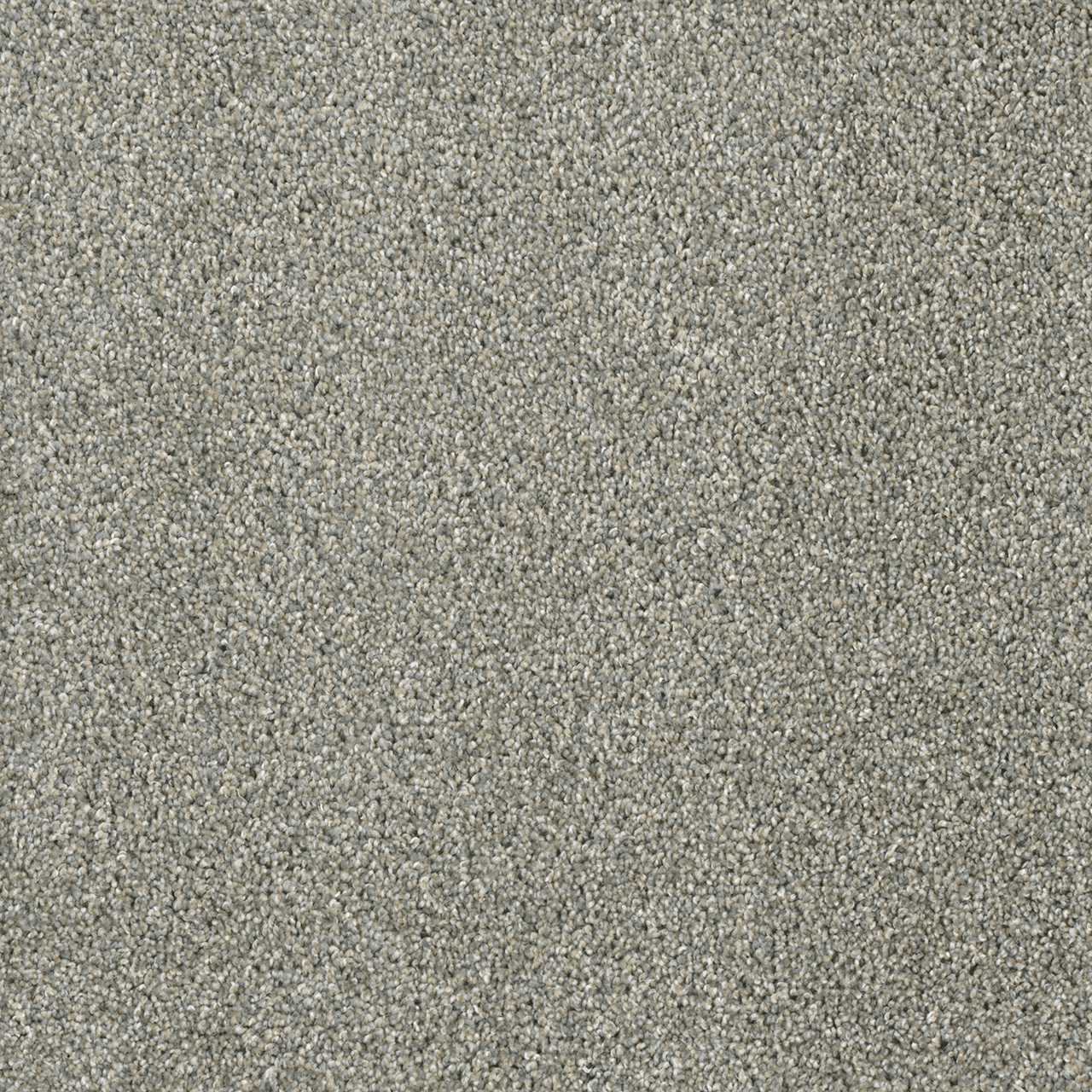 Sandy Trail Acclaim swatch