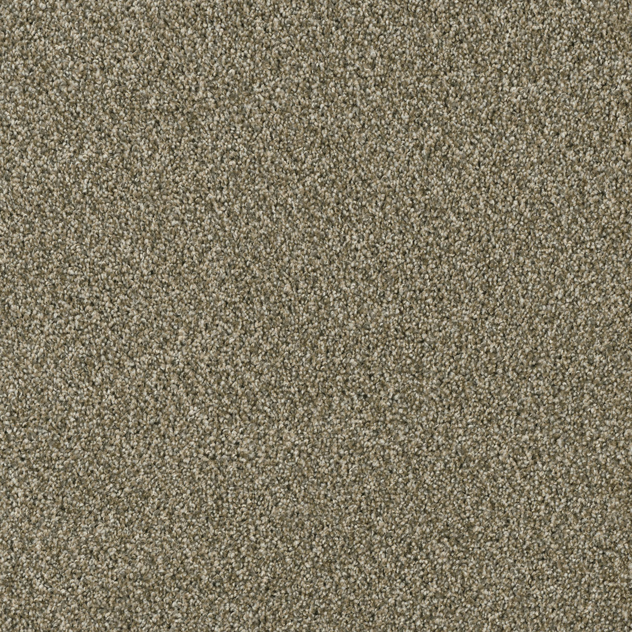 Sienna Sand Acclaim swatch