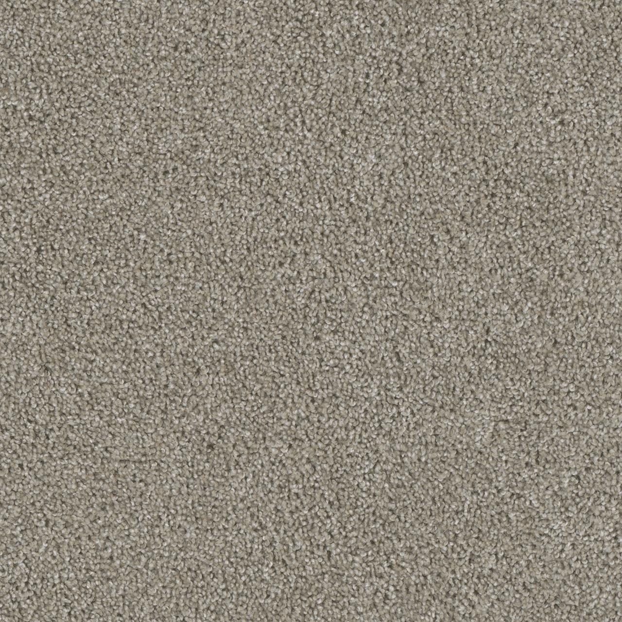 Vela Acclaim swatch