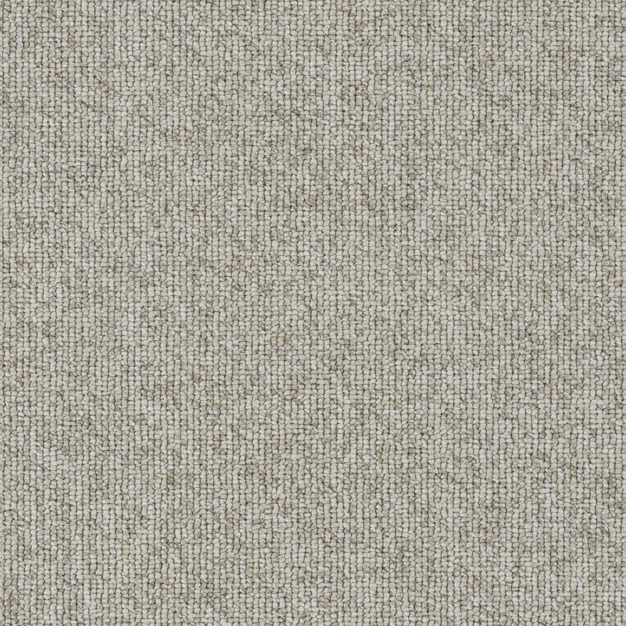 Chestnut Astro swatch