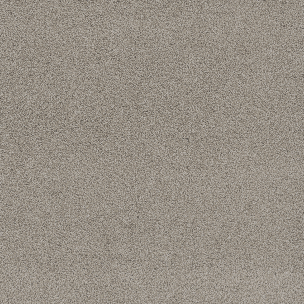 Pale Sunshine Beach Club II swatch