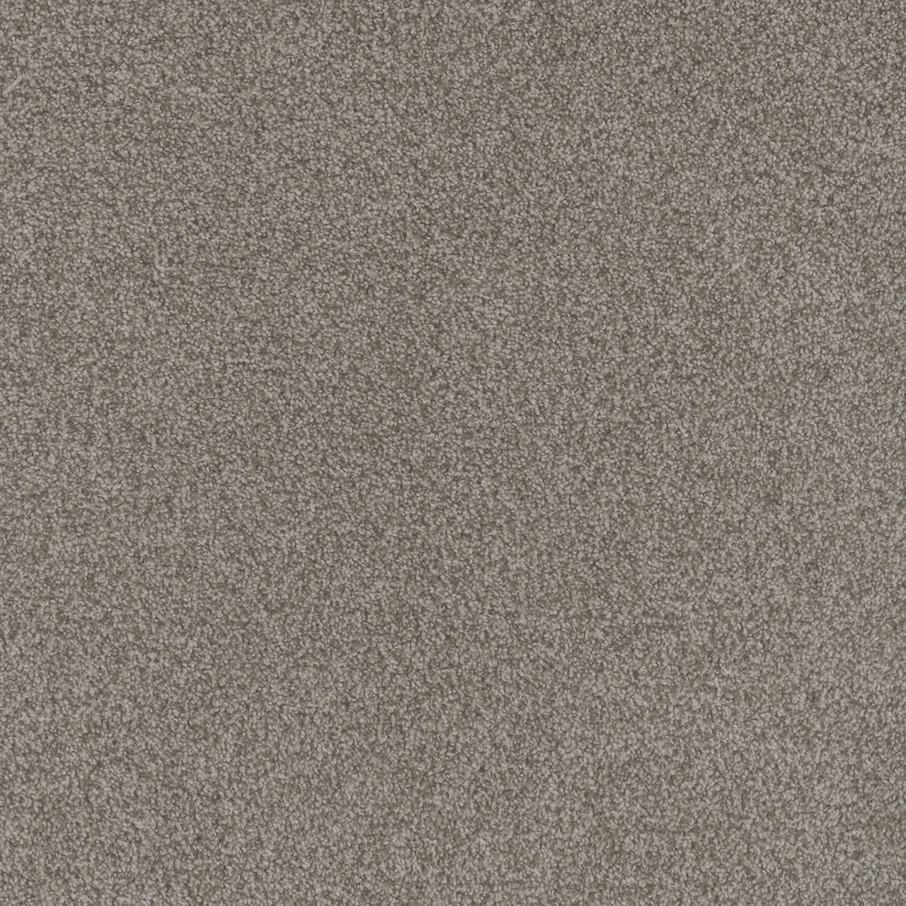 Roman Beach Club II swatch
