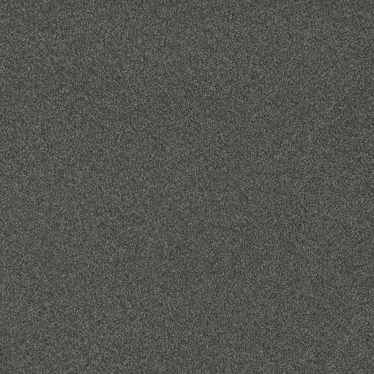 Nitro Blazer III swatch