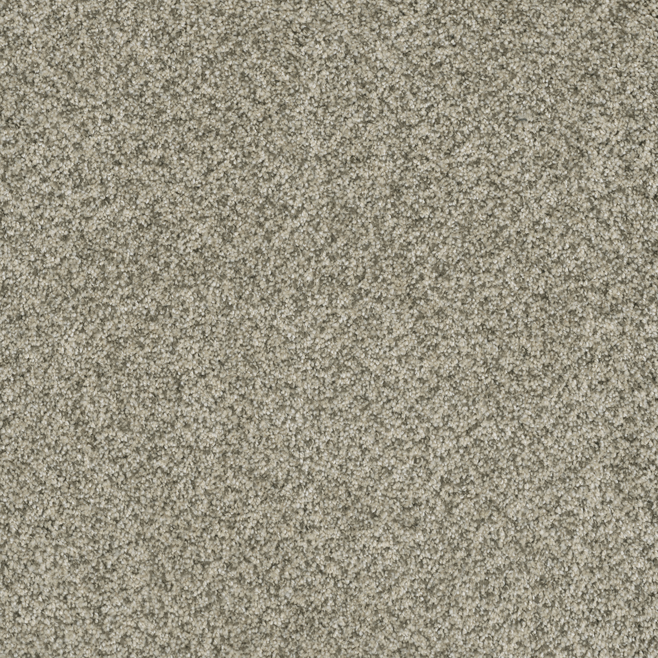 Acadia Brazen I swatch