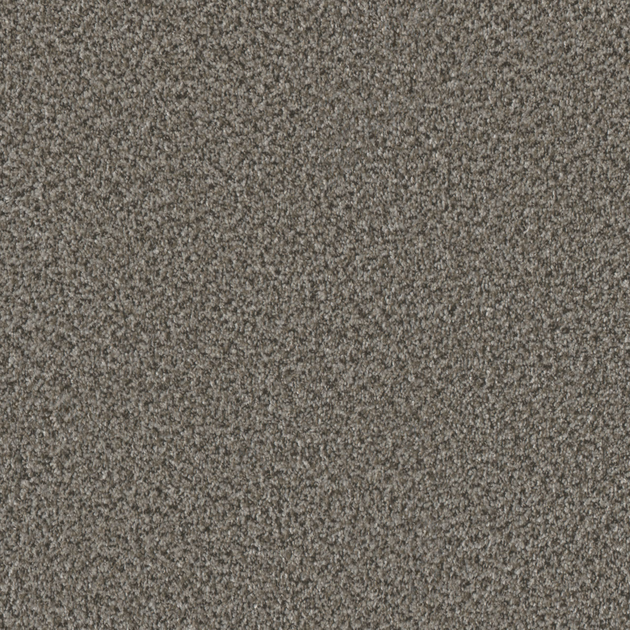 Windswept Brazen II swatch