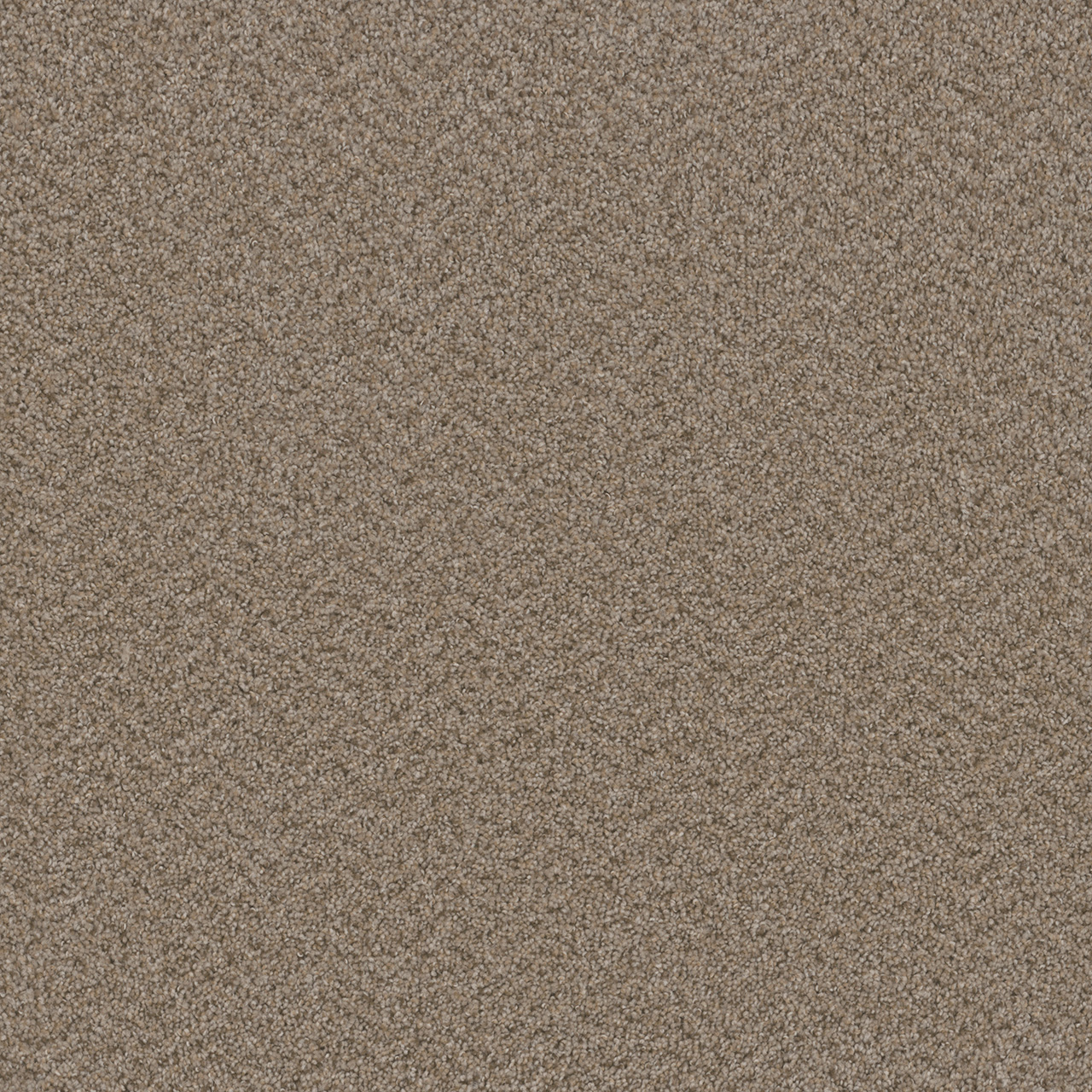 Almond Broadcast Plus swatch