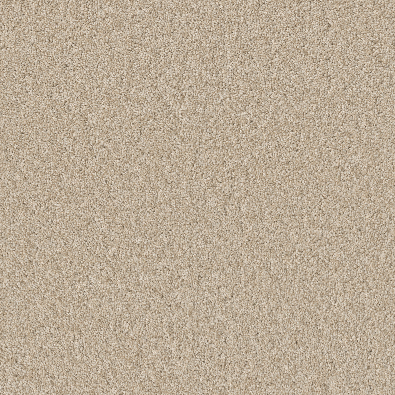 Bisque Broadcast Plus swatch