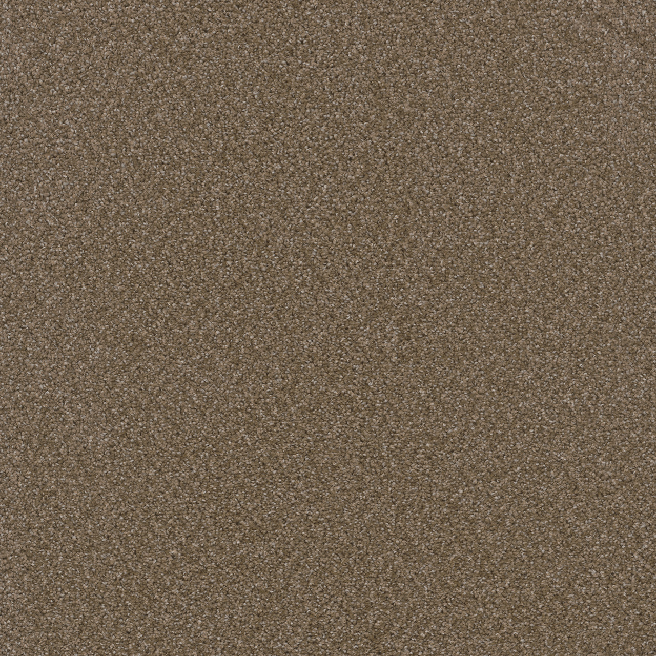 Chestnut Broadcast Plus swatch