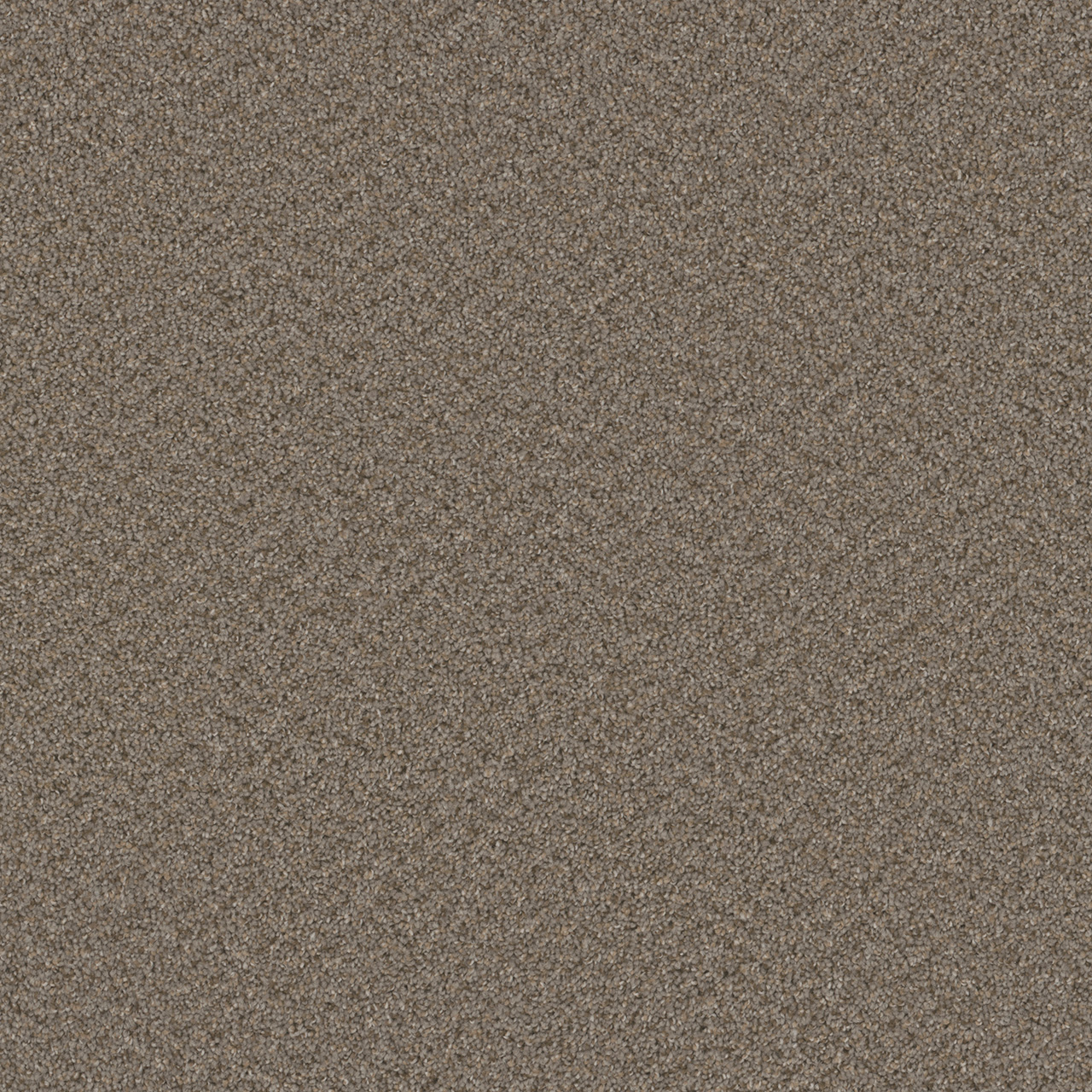 Cinder Broadcast Plus swatch