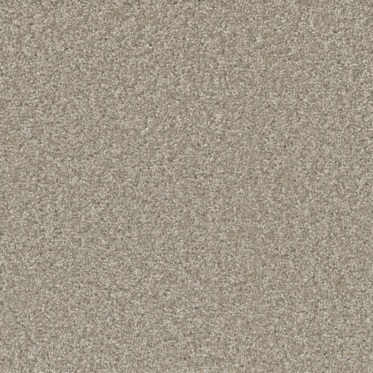 Clam Shell Broadcast Plus swatch