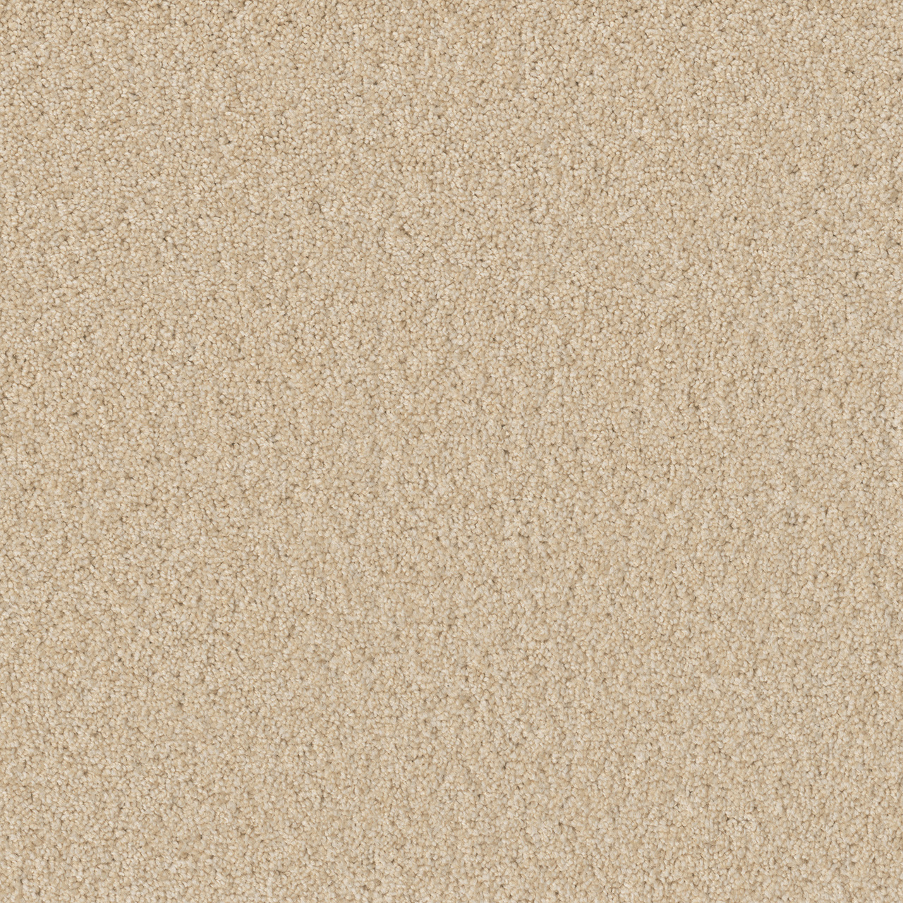 Classic Ivory Broadcast Plus swatch