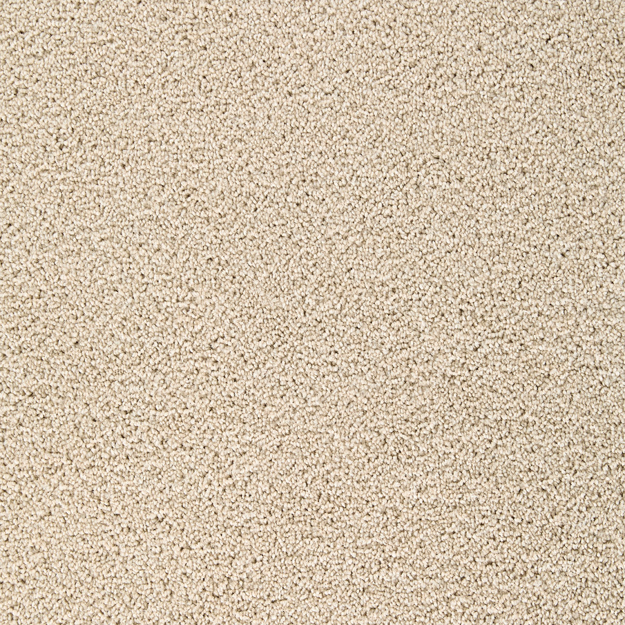 Cookie Dough Broadcast Plus swatch