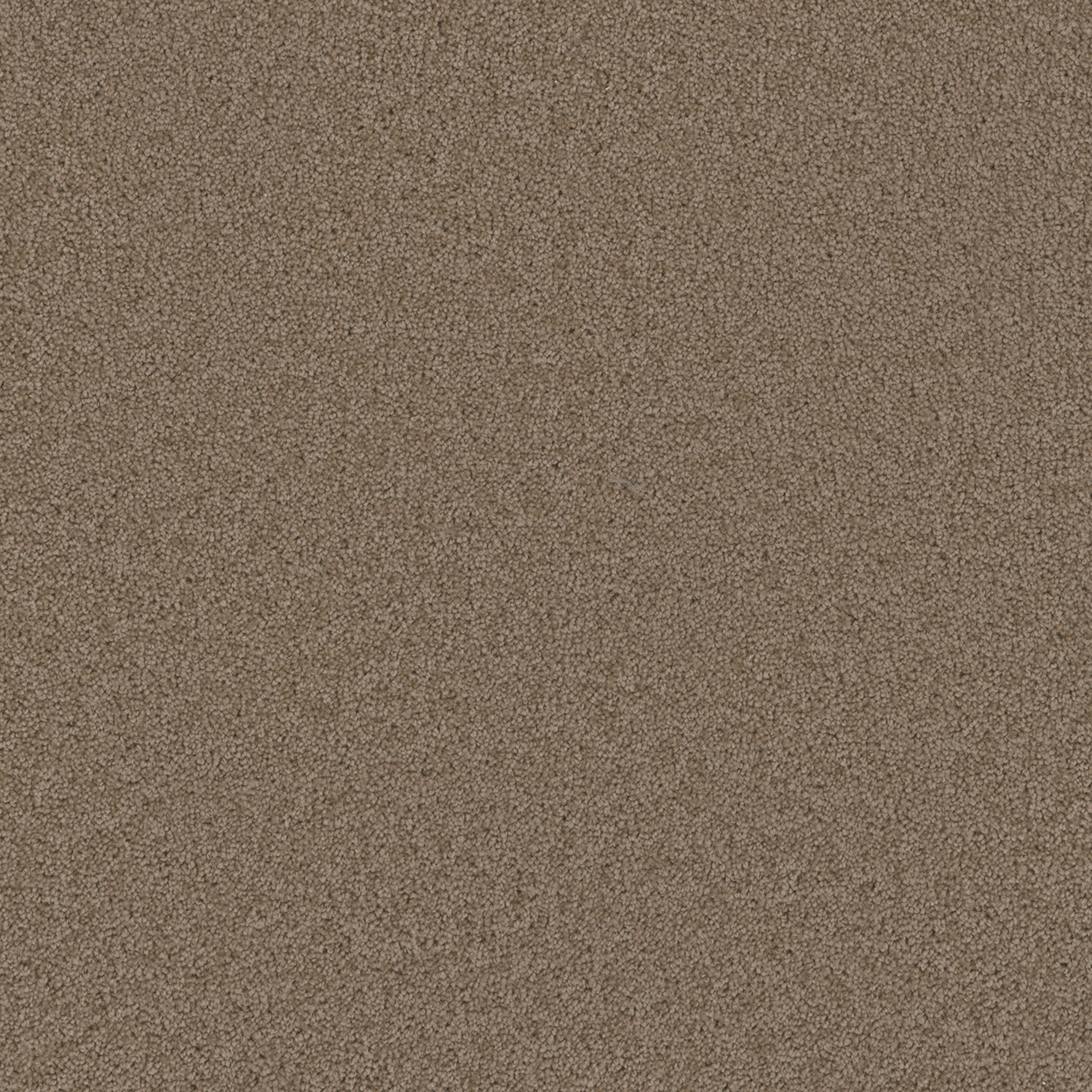 Doeskin Broadcast Plus swatch