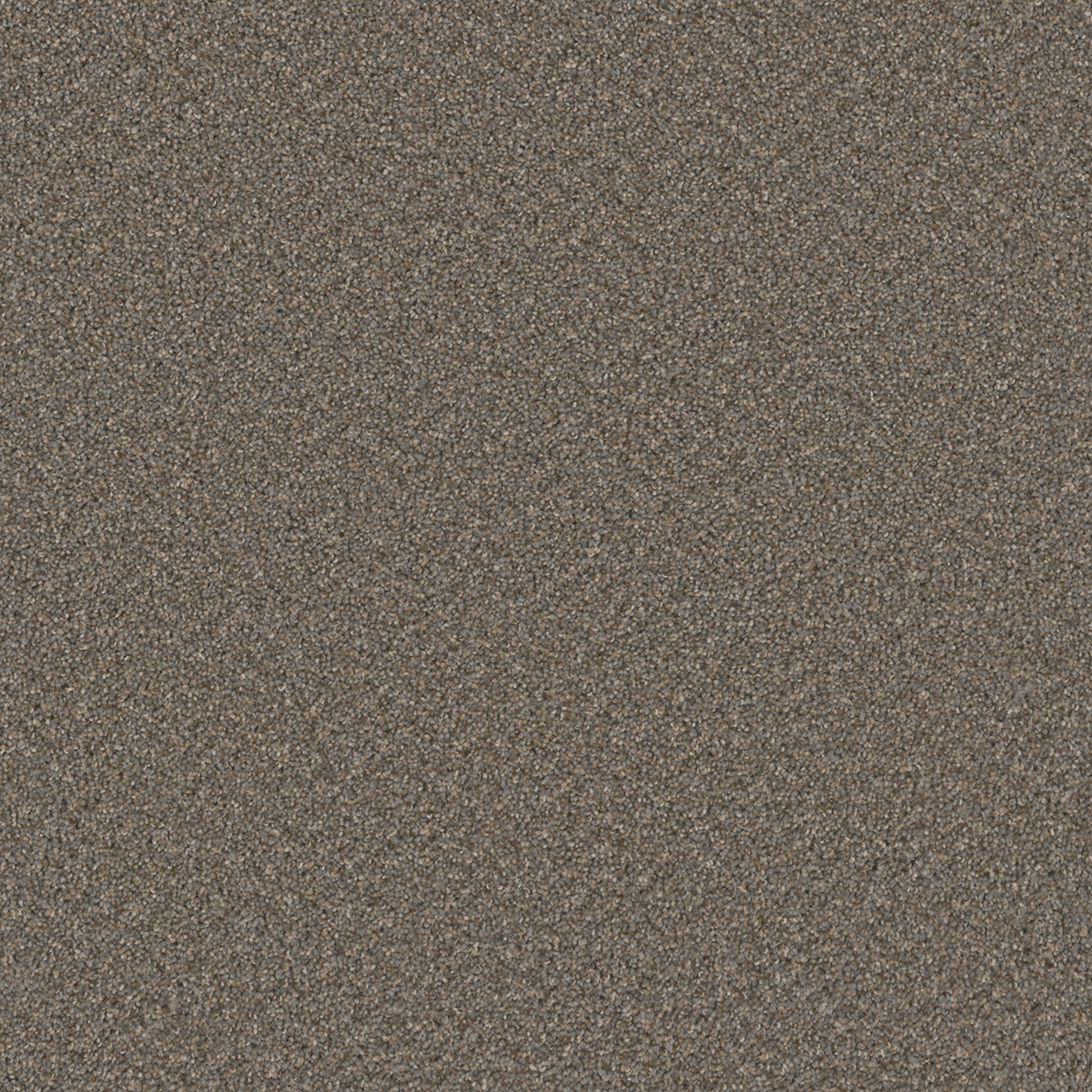 Field Slate Broadcast Plus swatch
