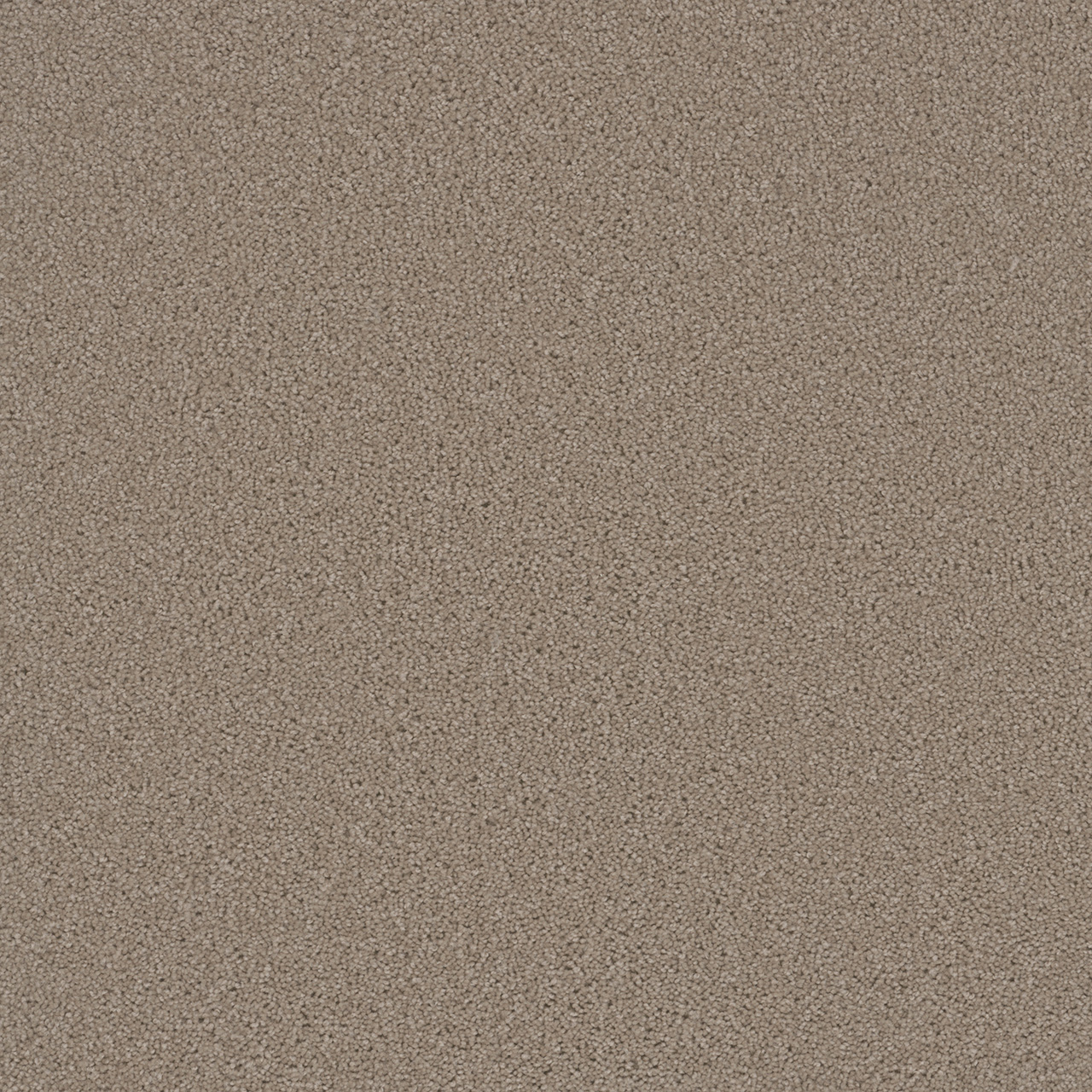 Flax Beige Broadcast Plus swatch