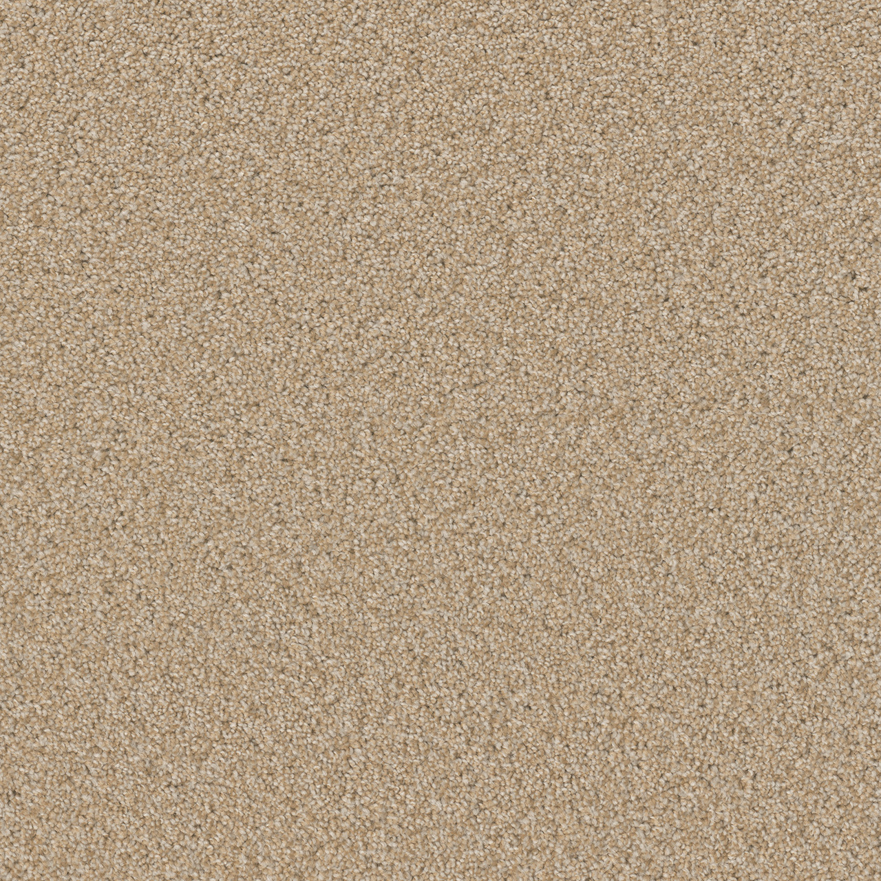 Frosted Clay Broadcast Plus swatch