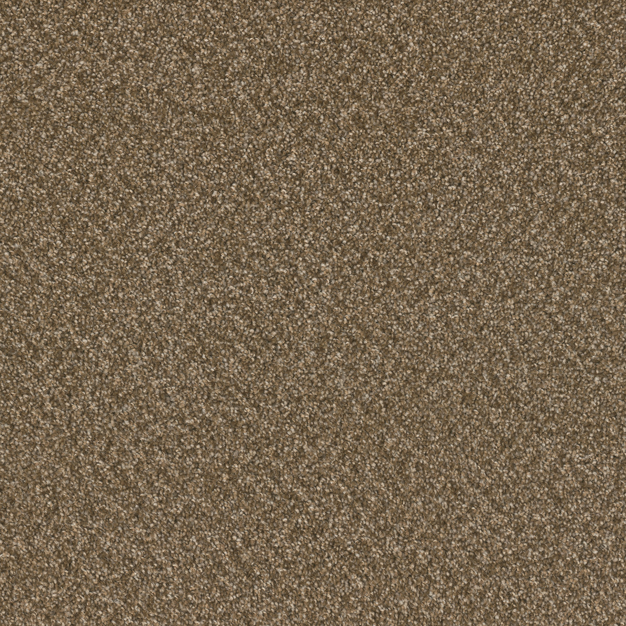 Mocha Beige Broadcast Plus swatch
