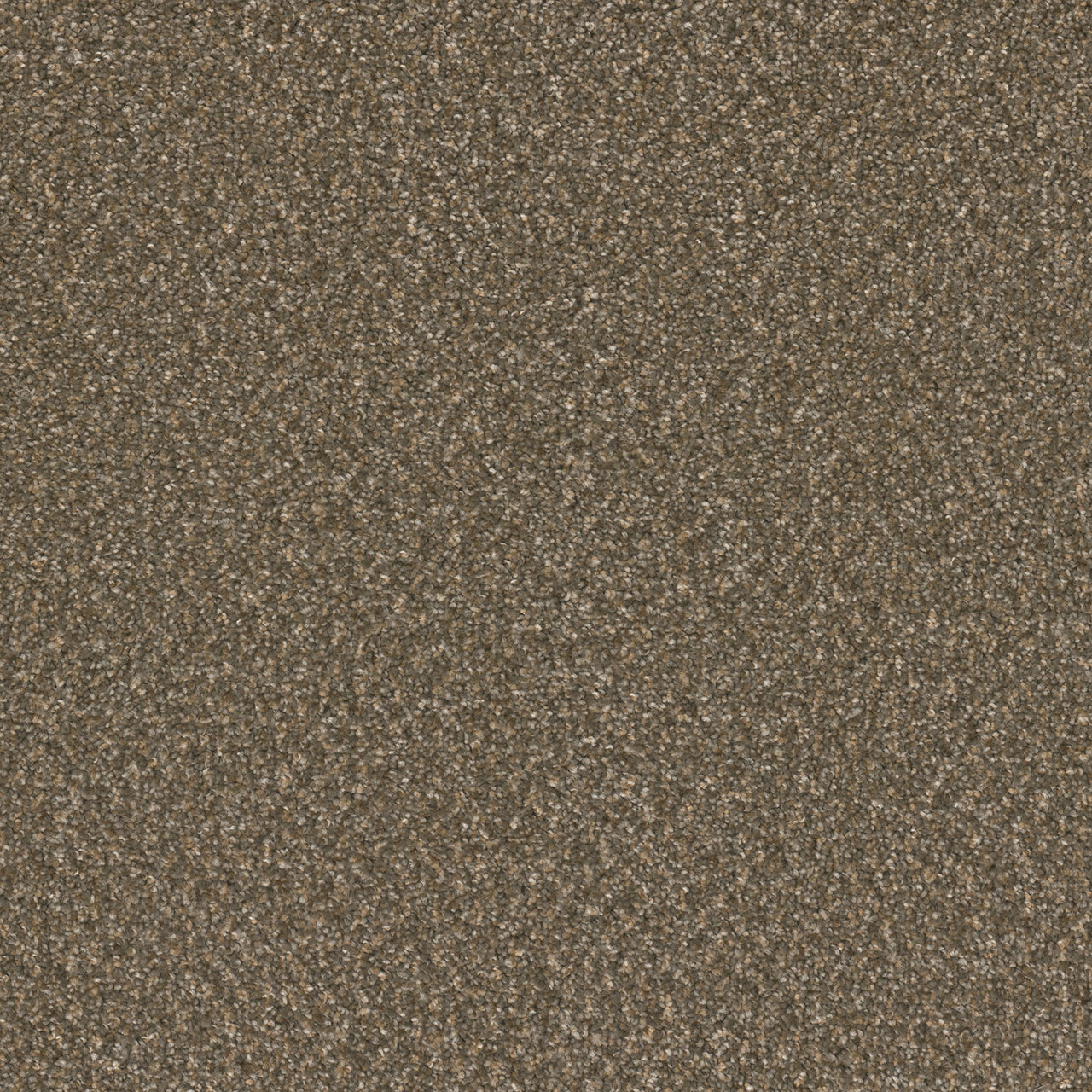 Rustic Glam Broadcast Plus swatch