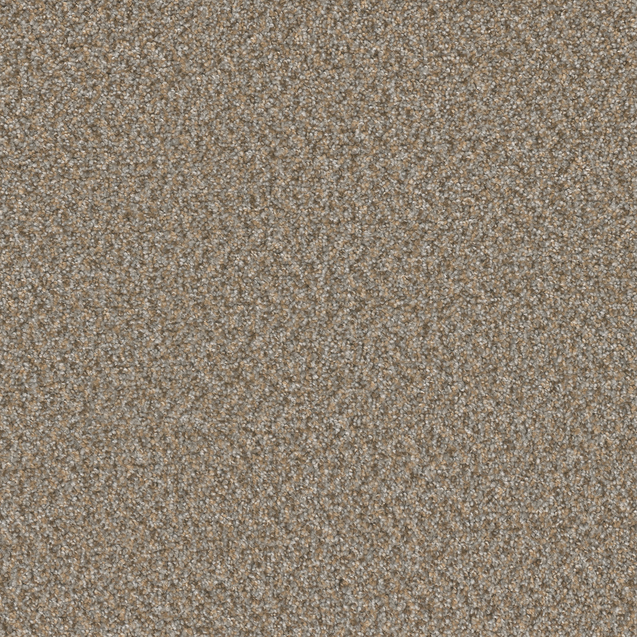 Siesta Broadcast Plus swatch