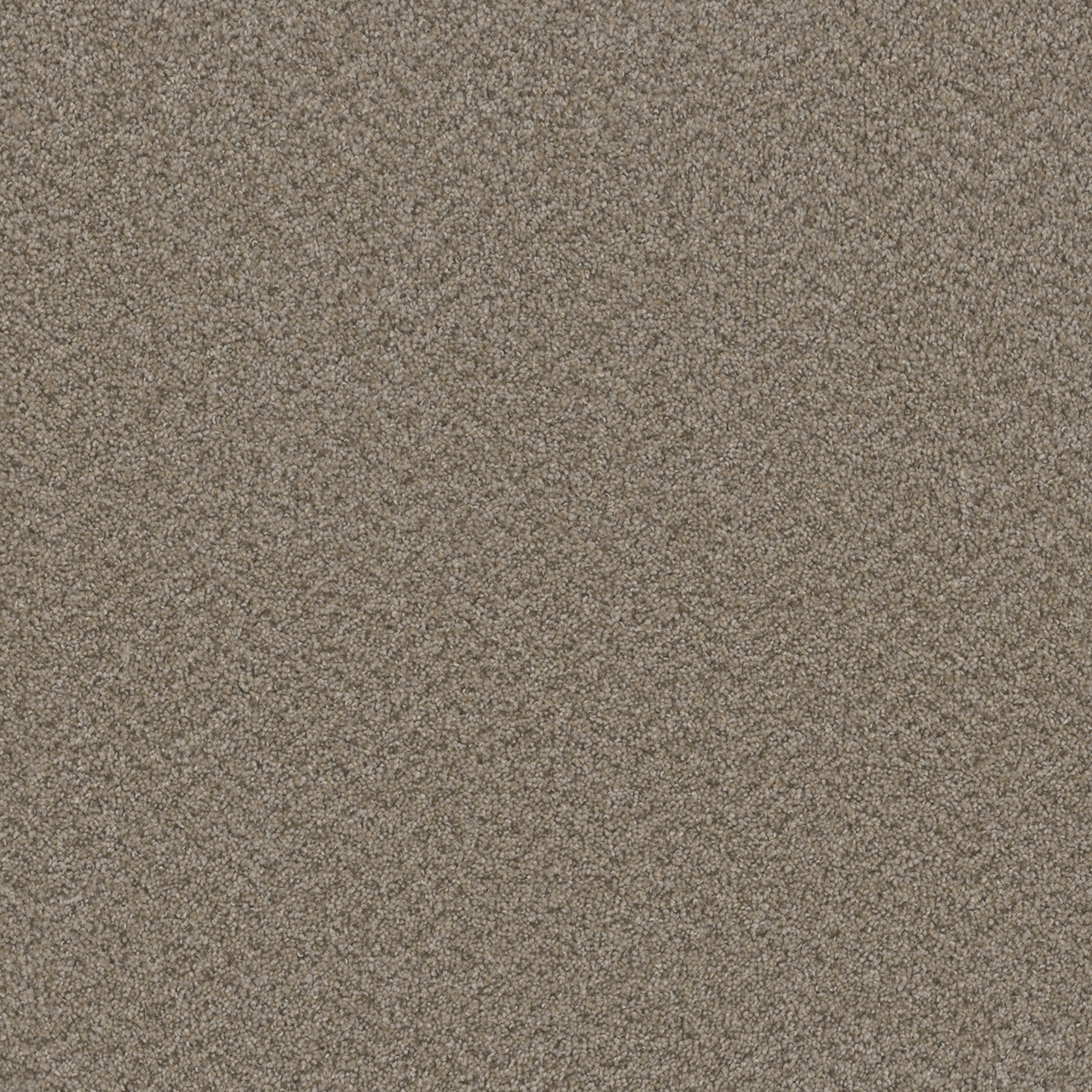 Almond Broadcast swatch