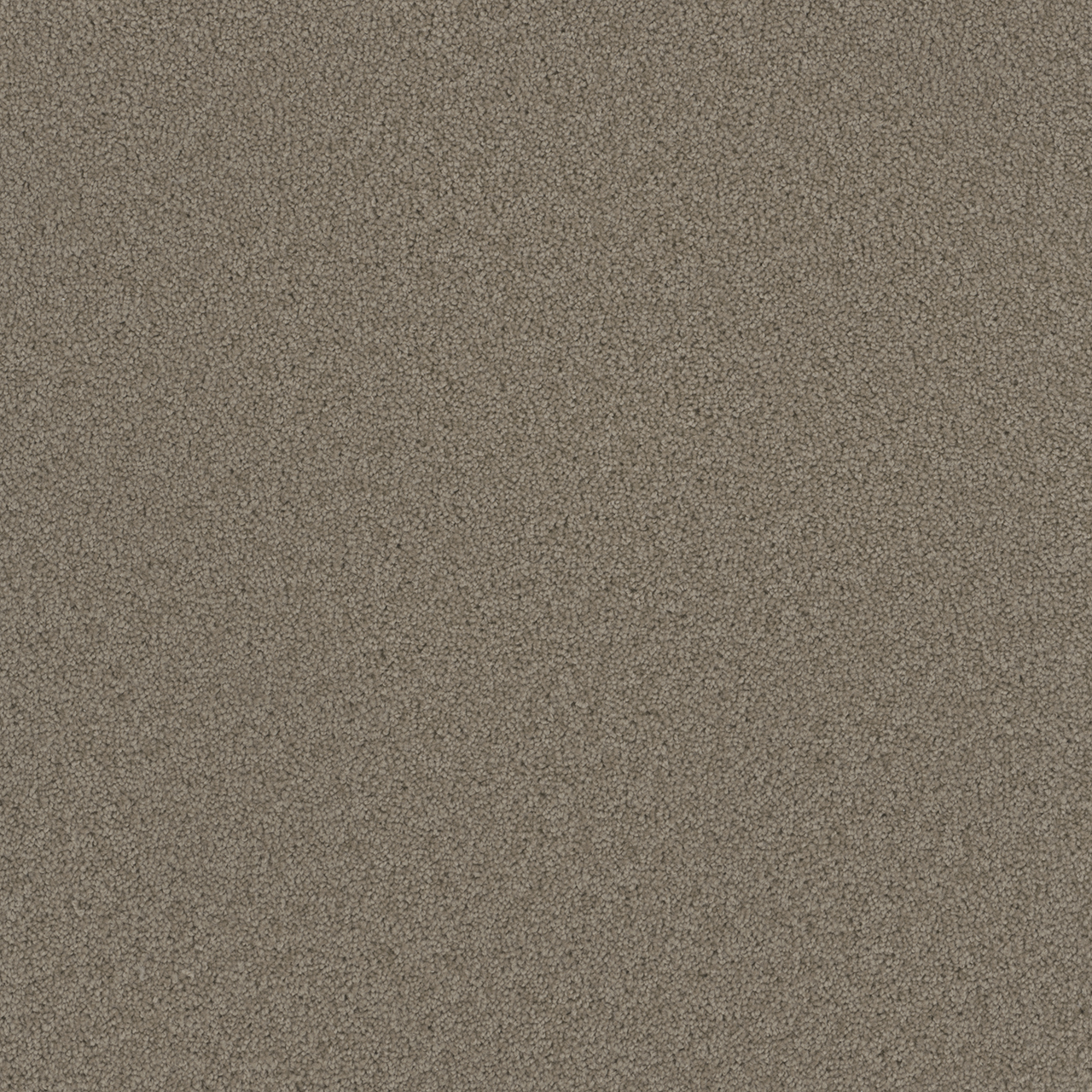 Ash Broadcast swatch