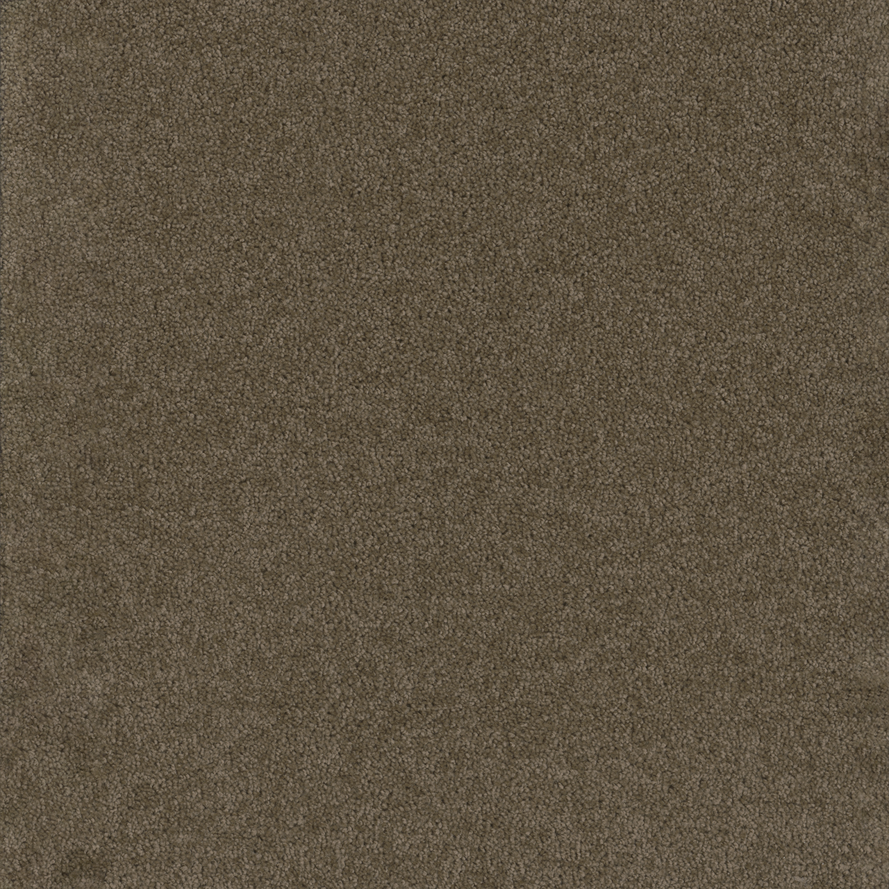 Balsam Broadcast swatch