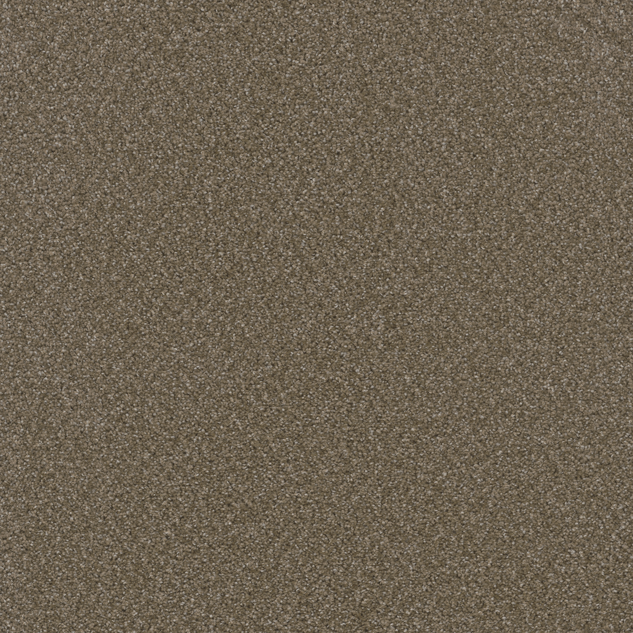 Chestnut Broadcast swatch