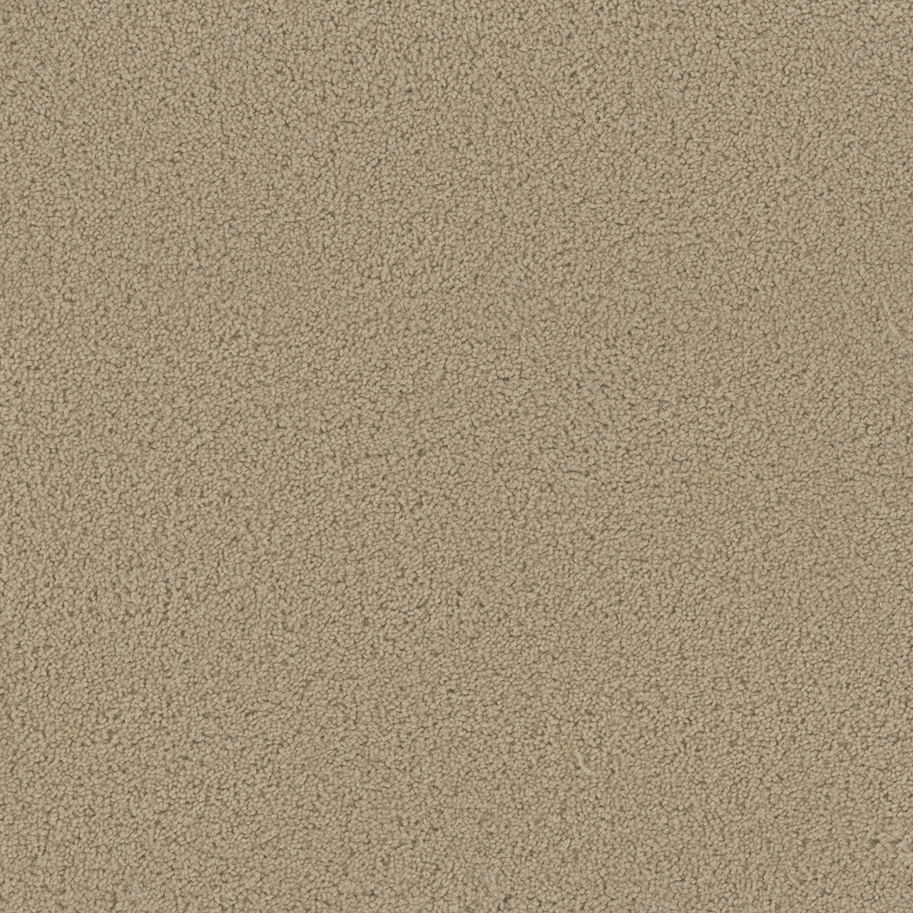Cookie Dough Broadcast swatch