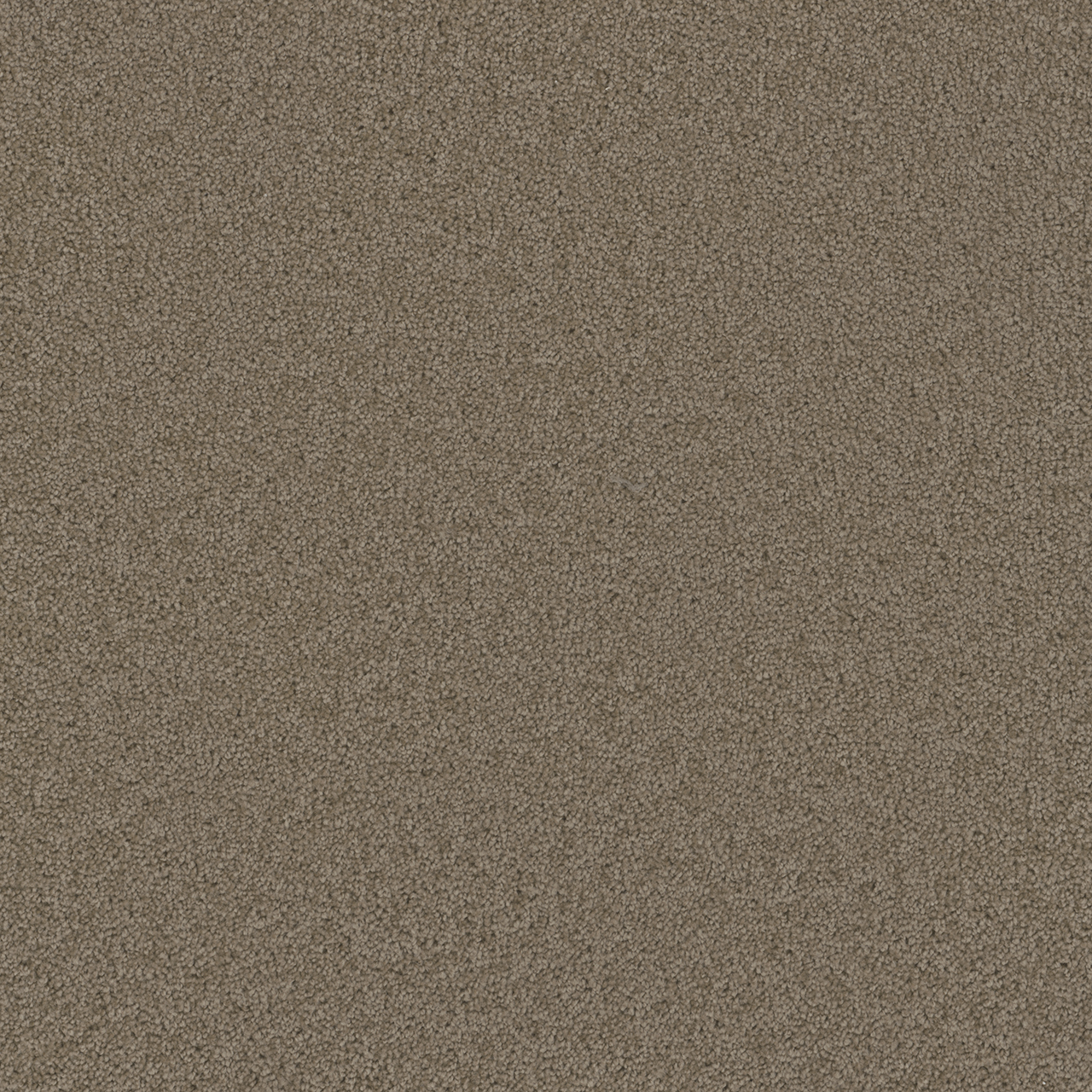 Doeskin Broadcast swatch