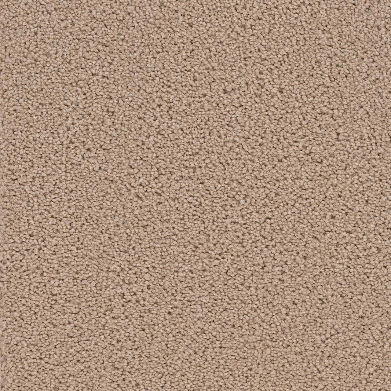 Dusk Broadcast swatch