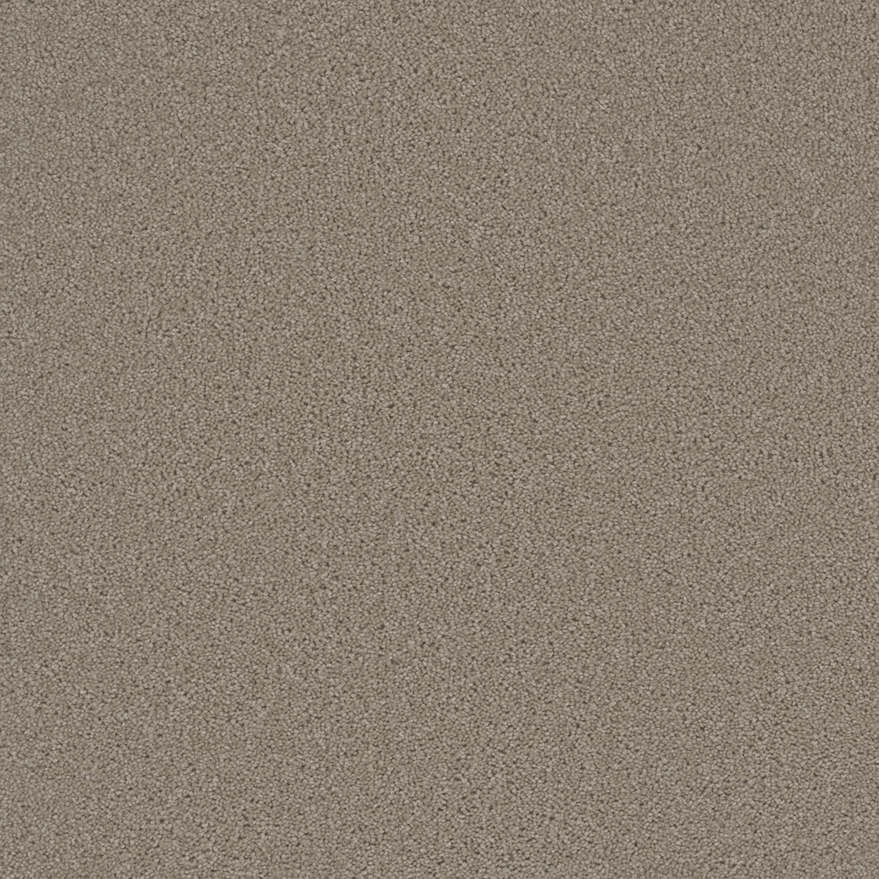 Flax Beige Broadcast swatch