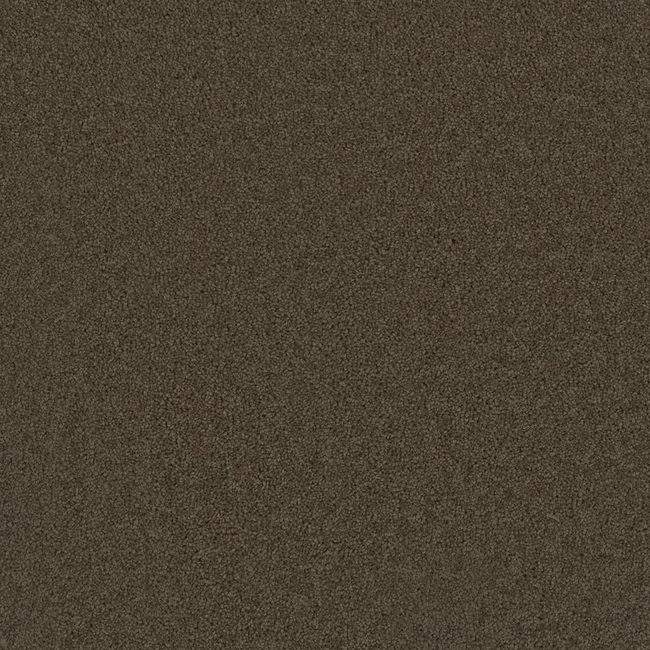 Latte Broadcast swatch