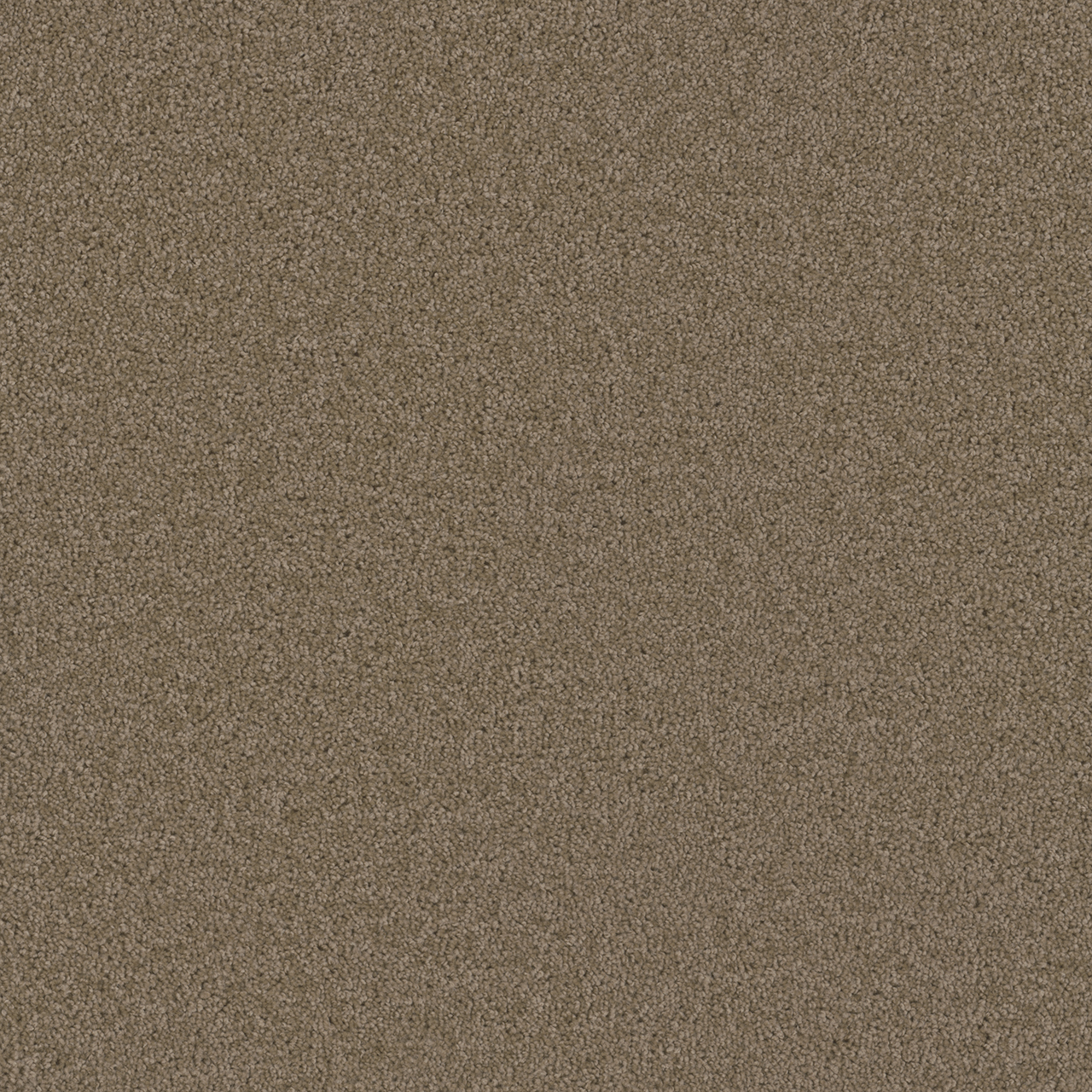 Sandstone Broadcast swatch
