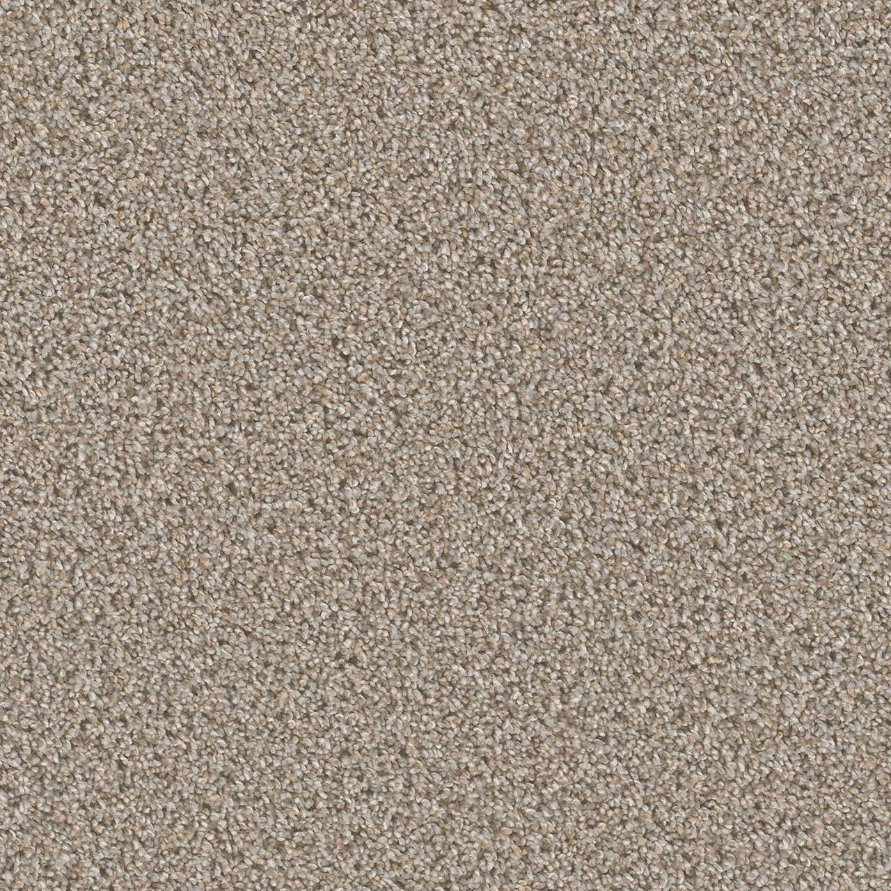 Iron Frost Can't Miss swatch