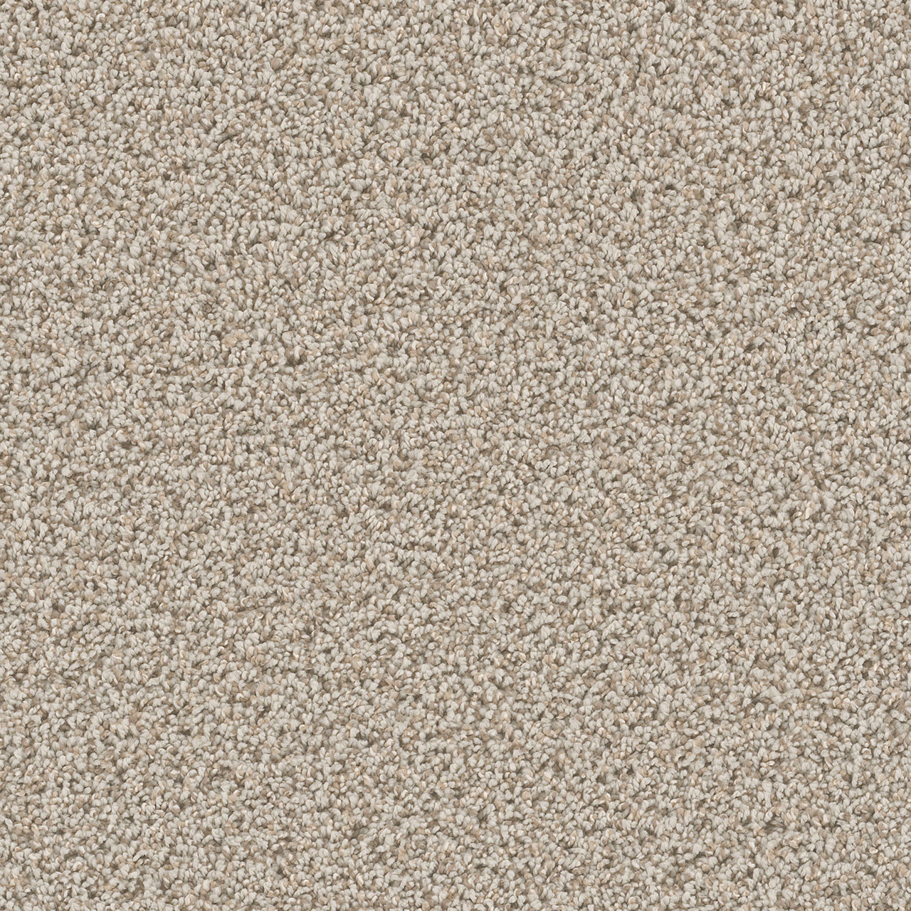 Stucco Can't Miss swatch