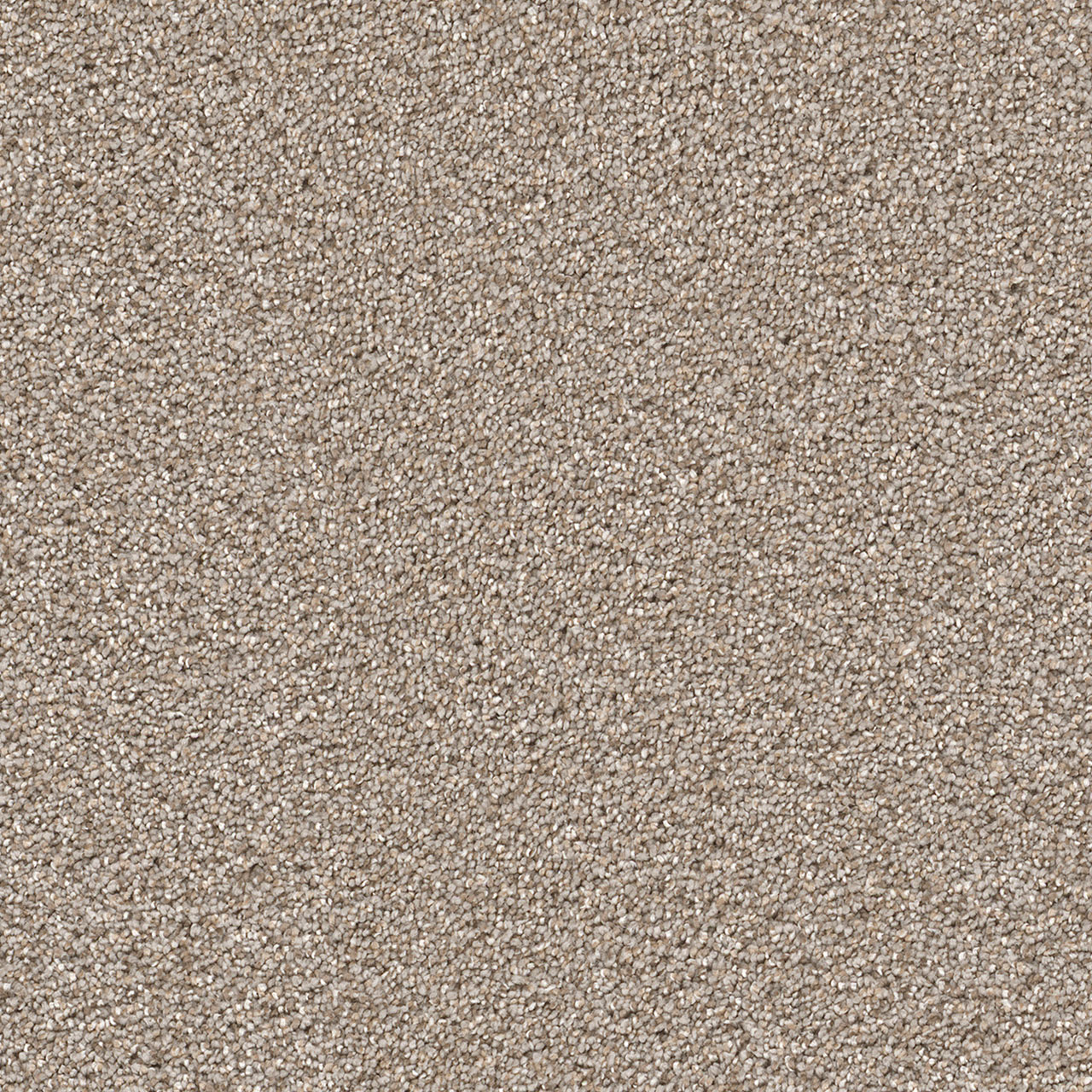 Ash Cape Cod swatch