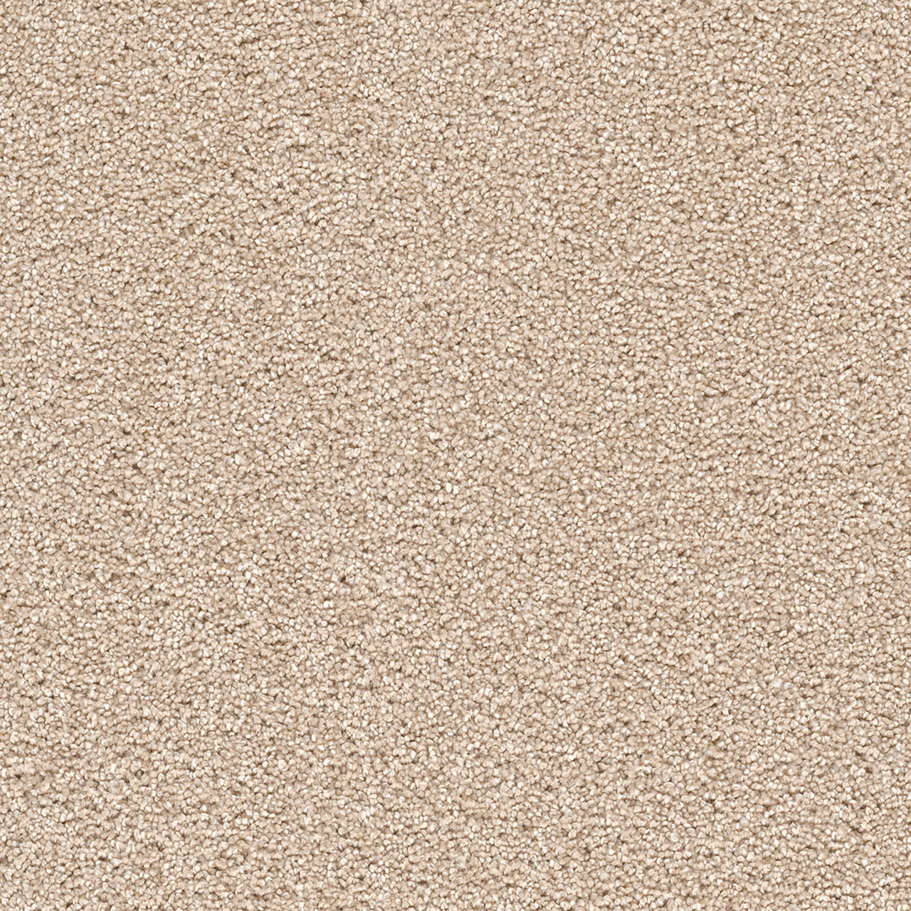 Blush Cape Cod swatch
