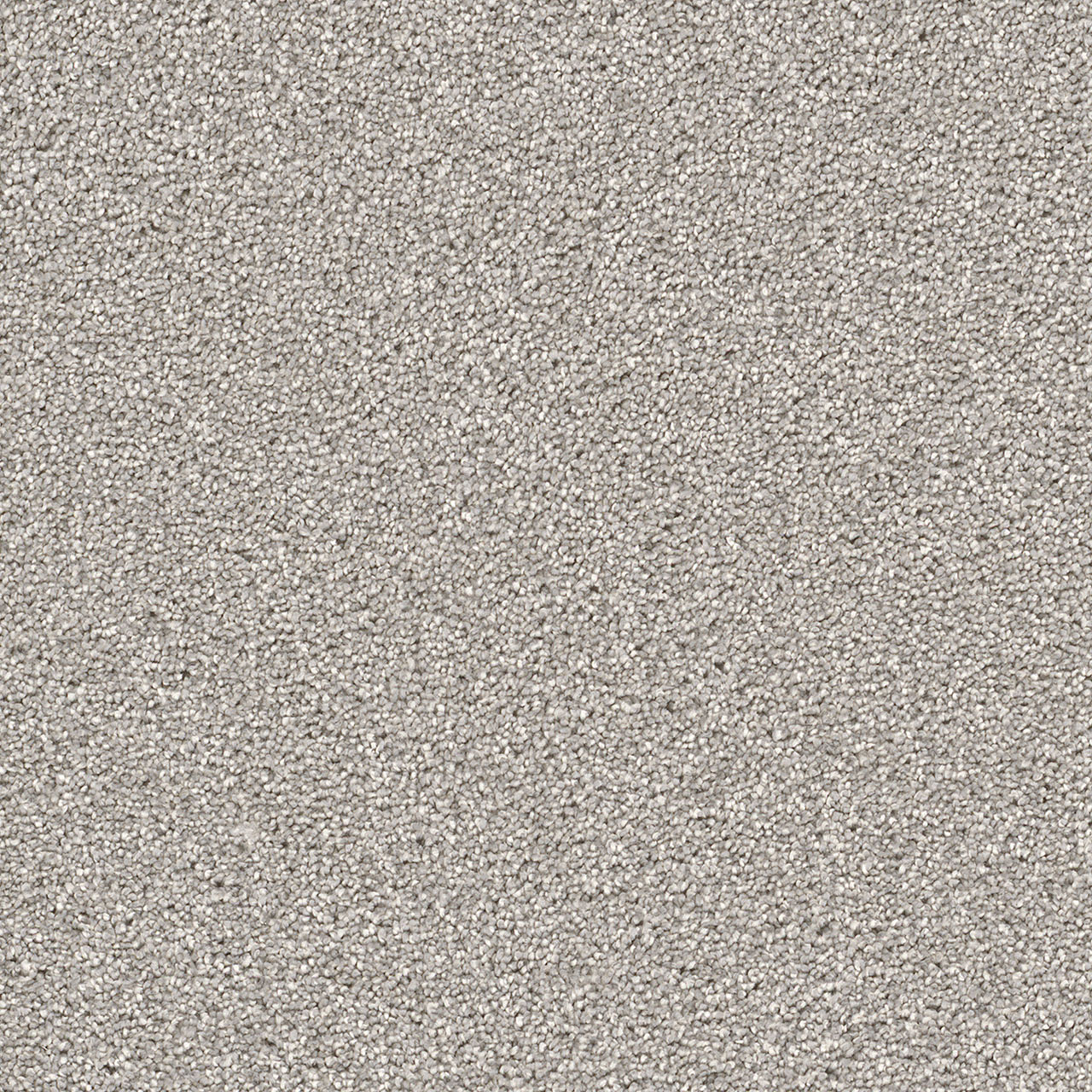 Dove Cape Cod swatch