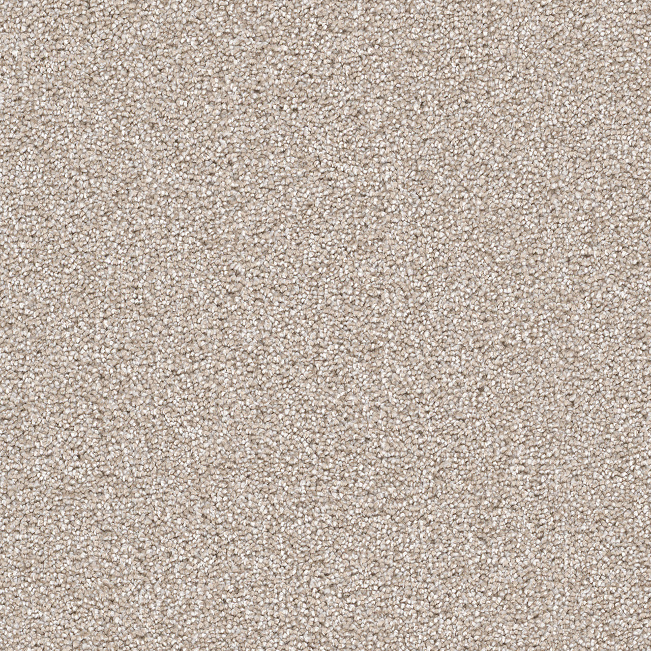 Parchment Cape Cod swatch