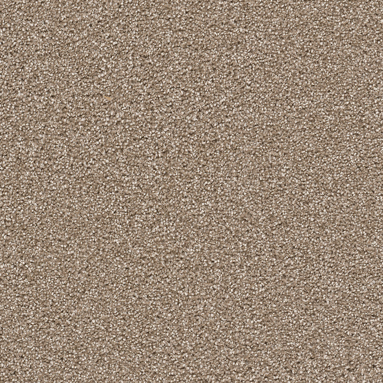 Quail Cape Cod swatch