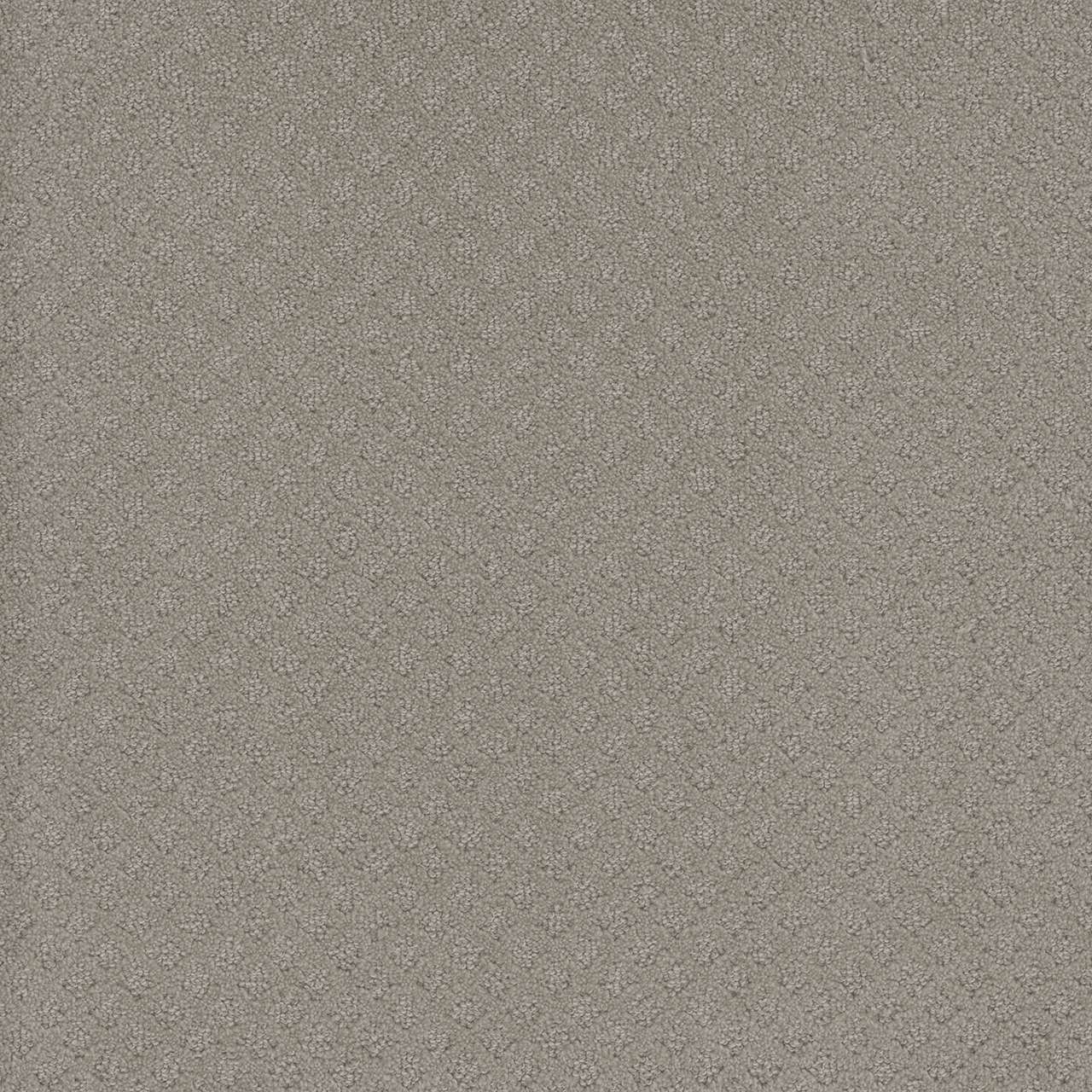 Arrowhead Capri swatch