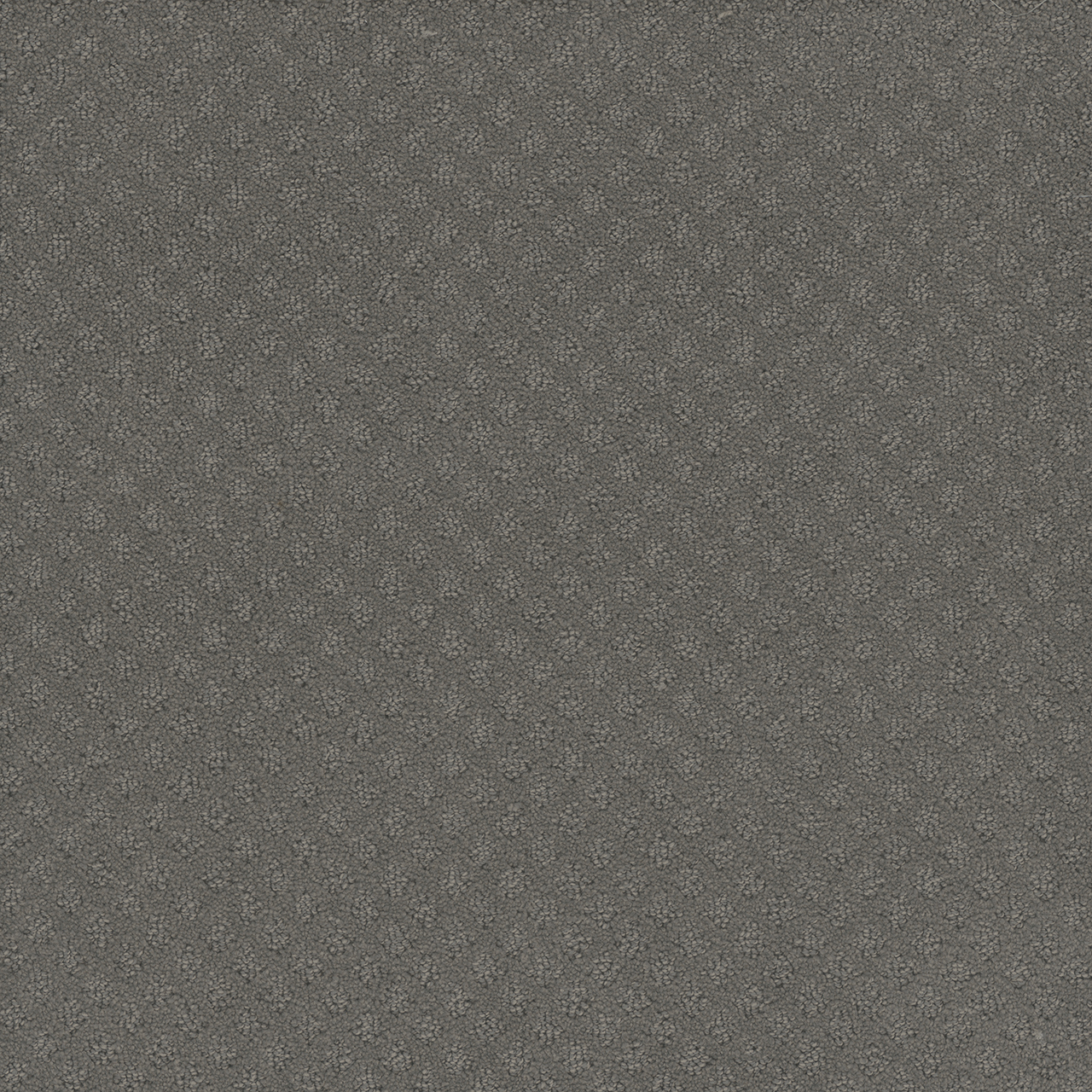 Bayside Capri swatch