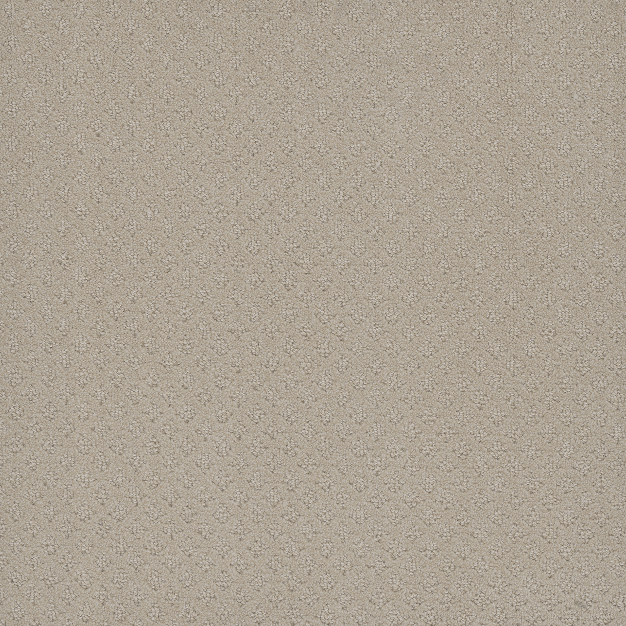 Champagne Fizz Capri swatch