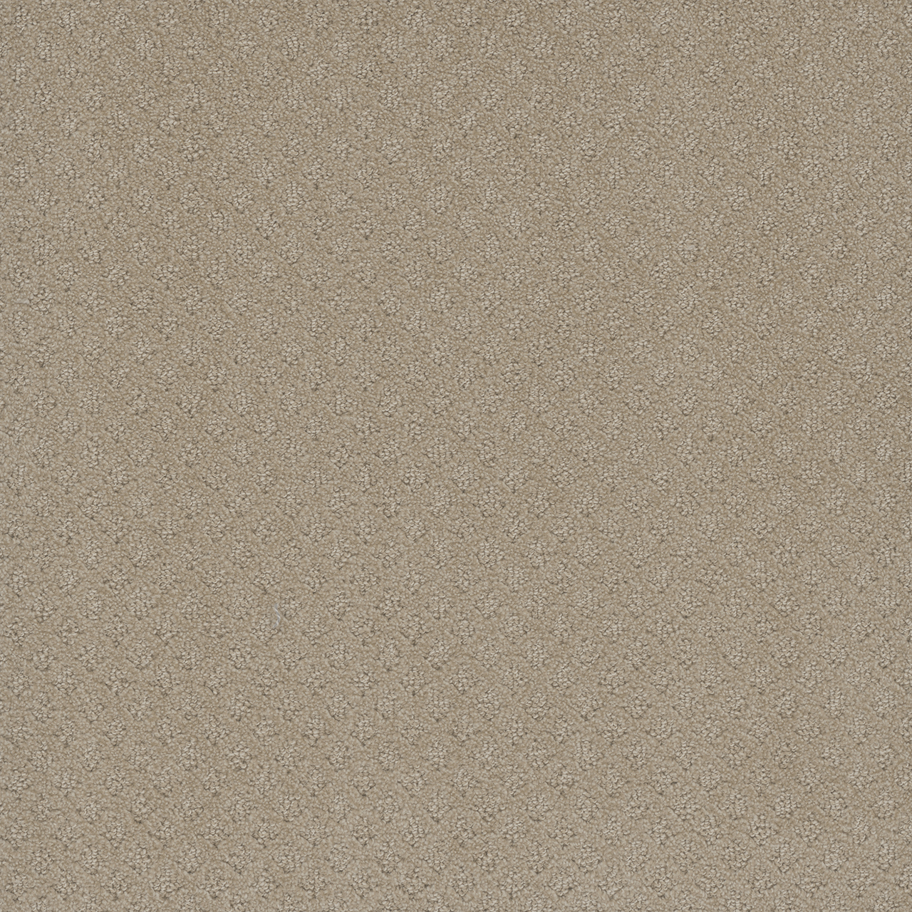 Soft Pine Capri swatch