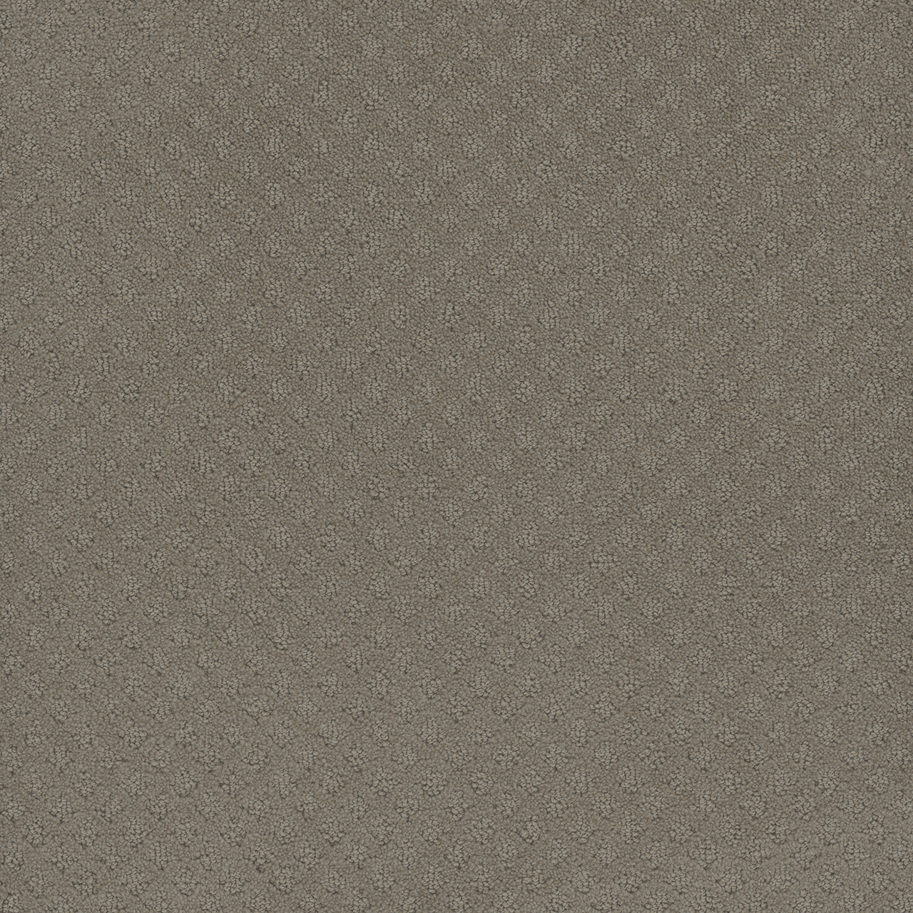 Timber Ridge Capri swatch