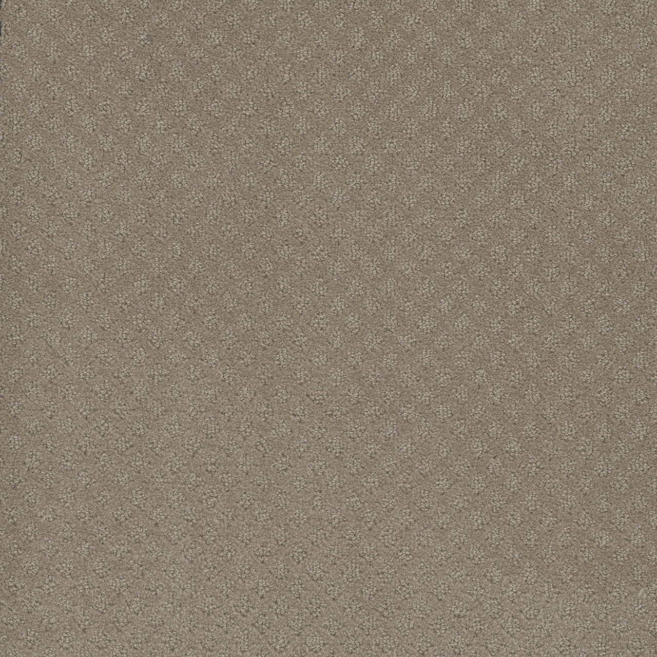 Warm Sand Capri swatch