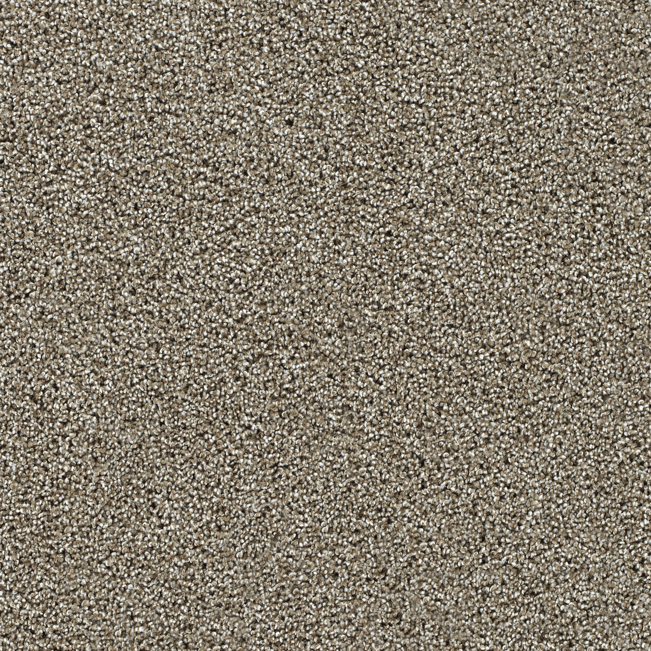 Rich Walnut Captivating II swatch
