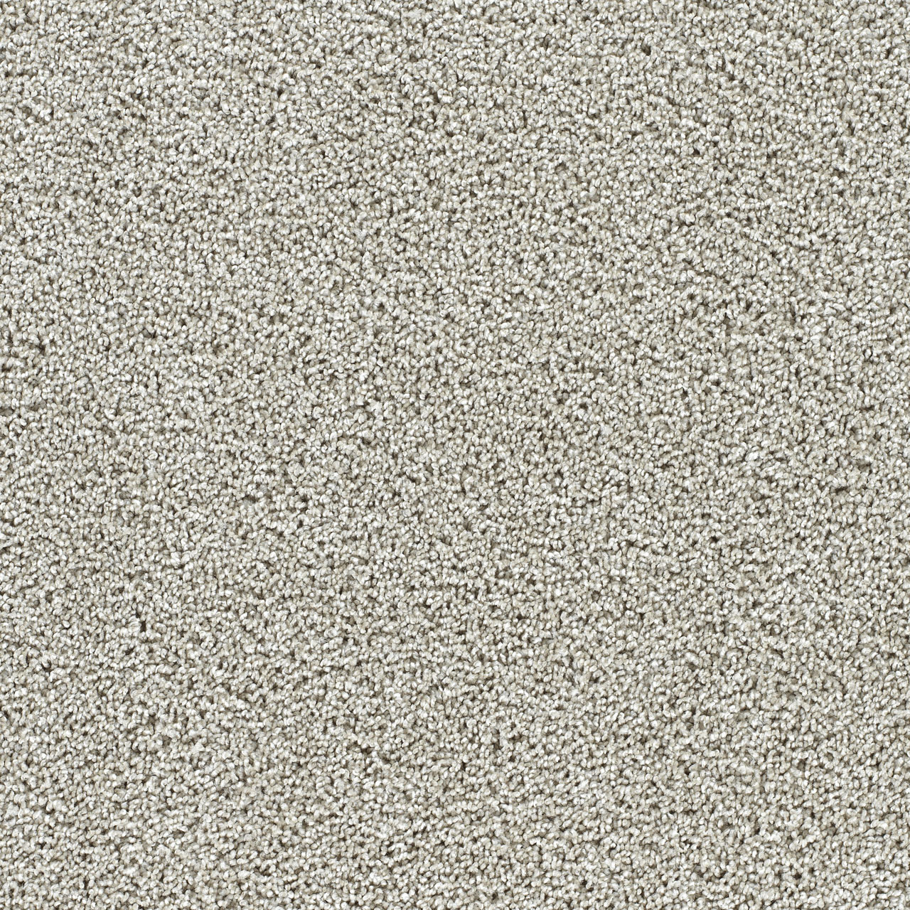 August Grove Captivating III swatch